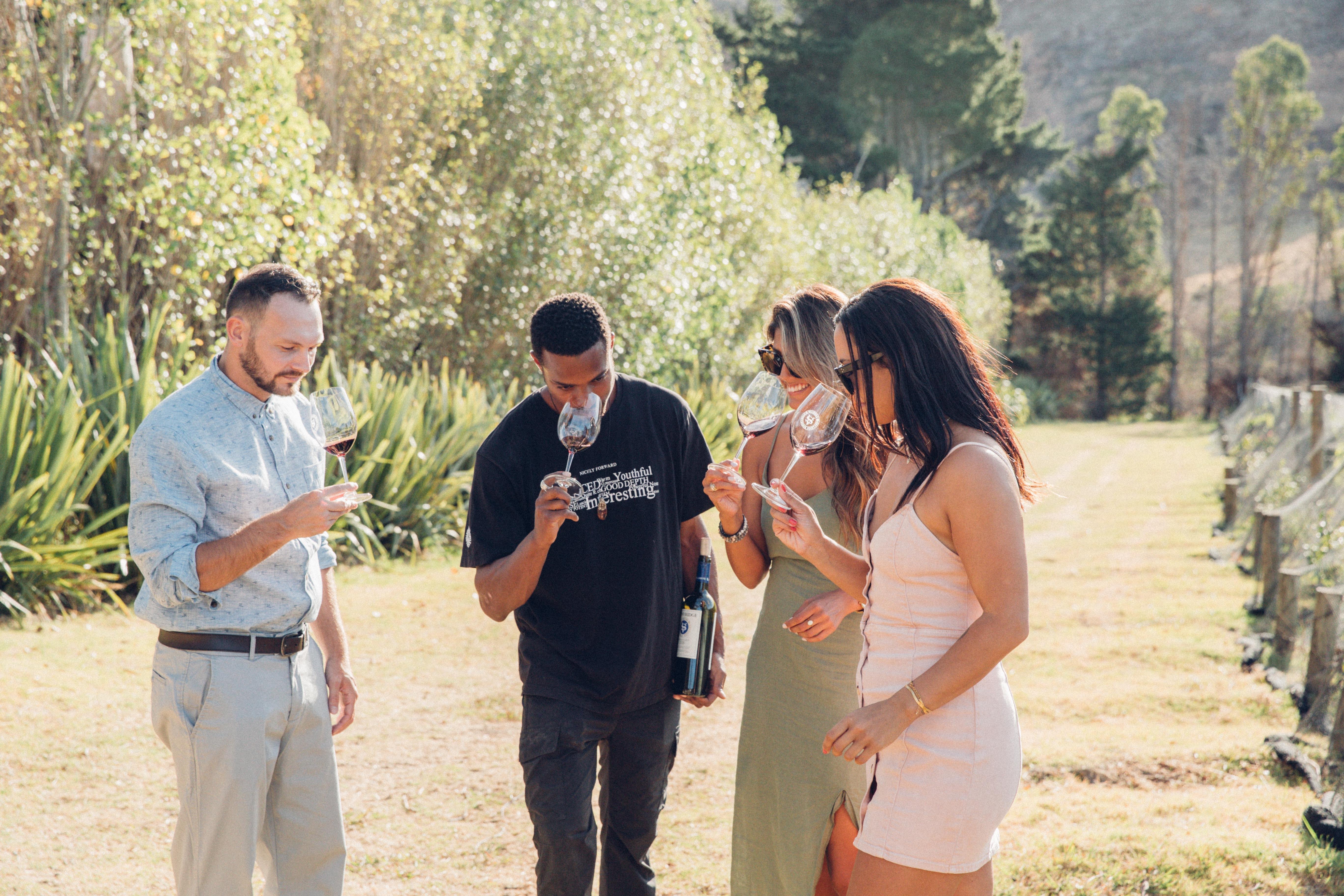 Auckland: Waiheke Island Scenic Wine Journey to 3 Vineyards