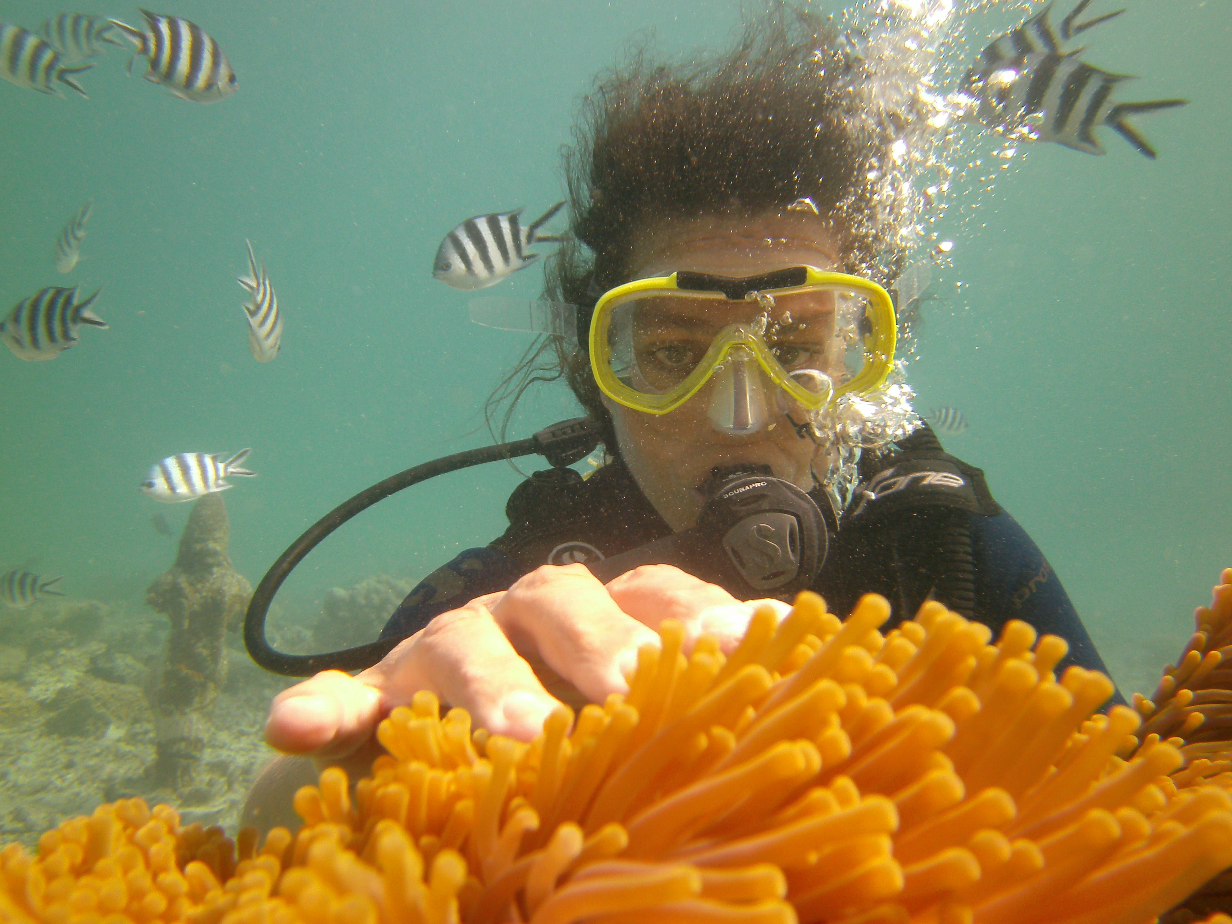 Belle Mare Scuba Discovery: East Coast Mauritius Dive