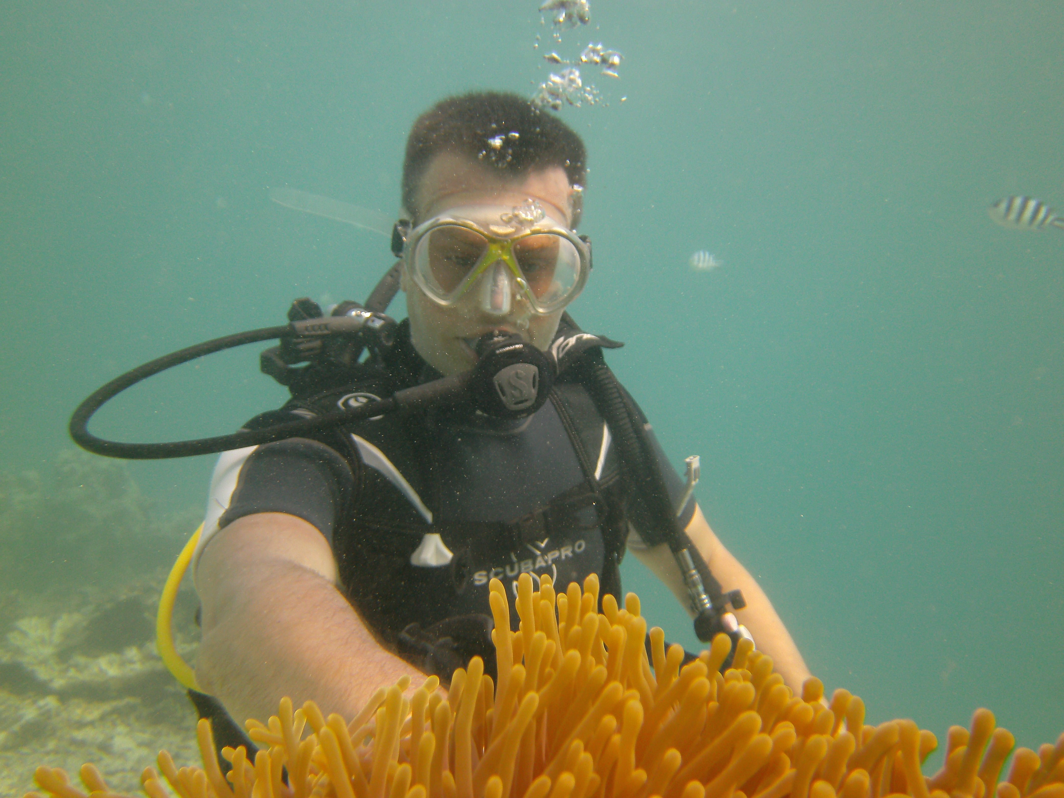 Belle Mare Scuba Discovery: East Coast Mauritius Dive