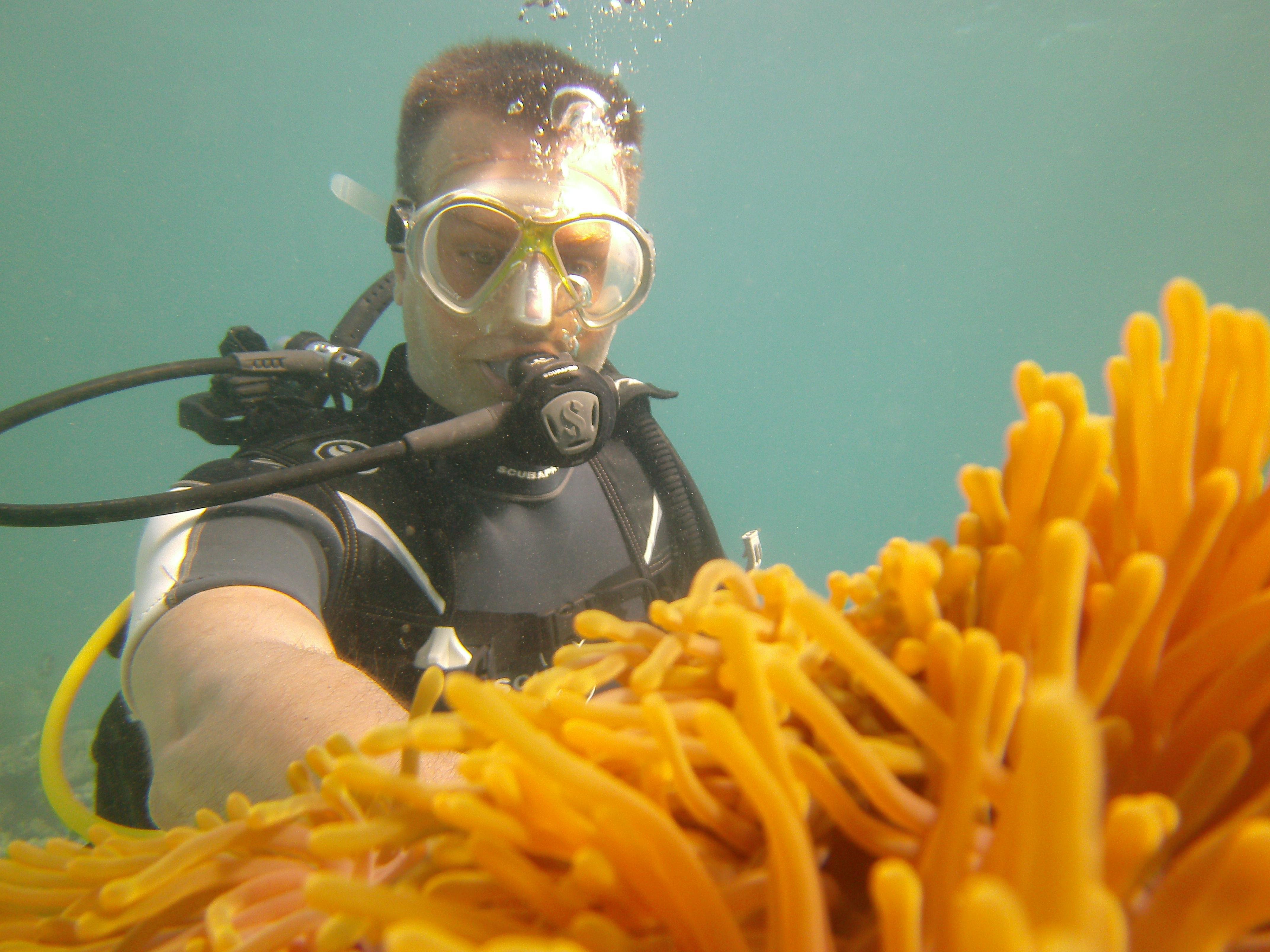 Belle Mare Scuba Discovery: East Coast Mauritius Dive