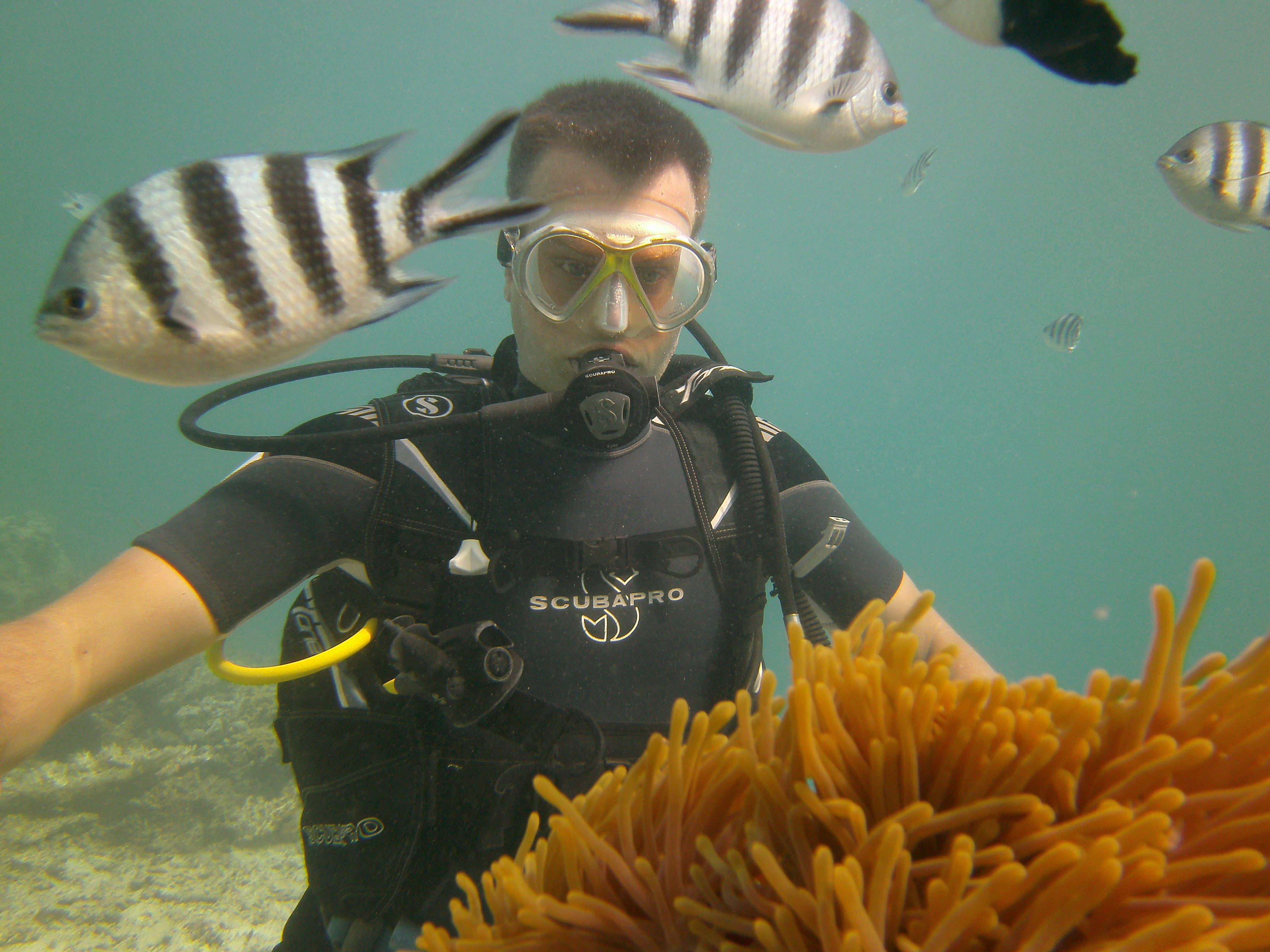 Belle Mare Scuba Discovery: East Coast Mauritius Dive