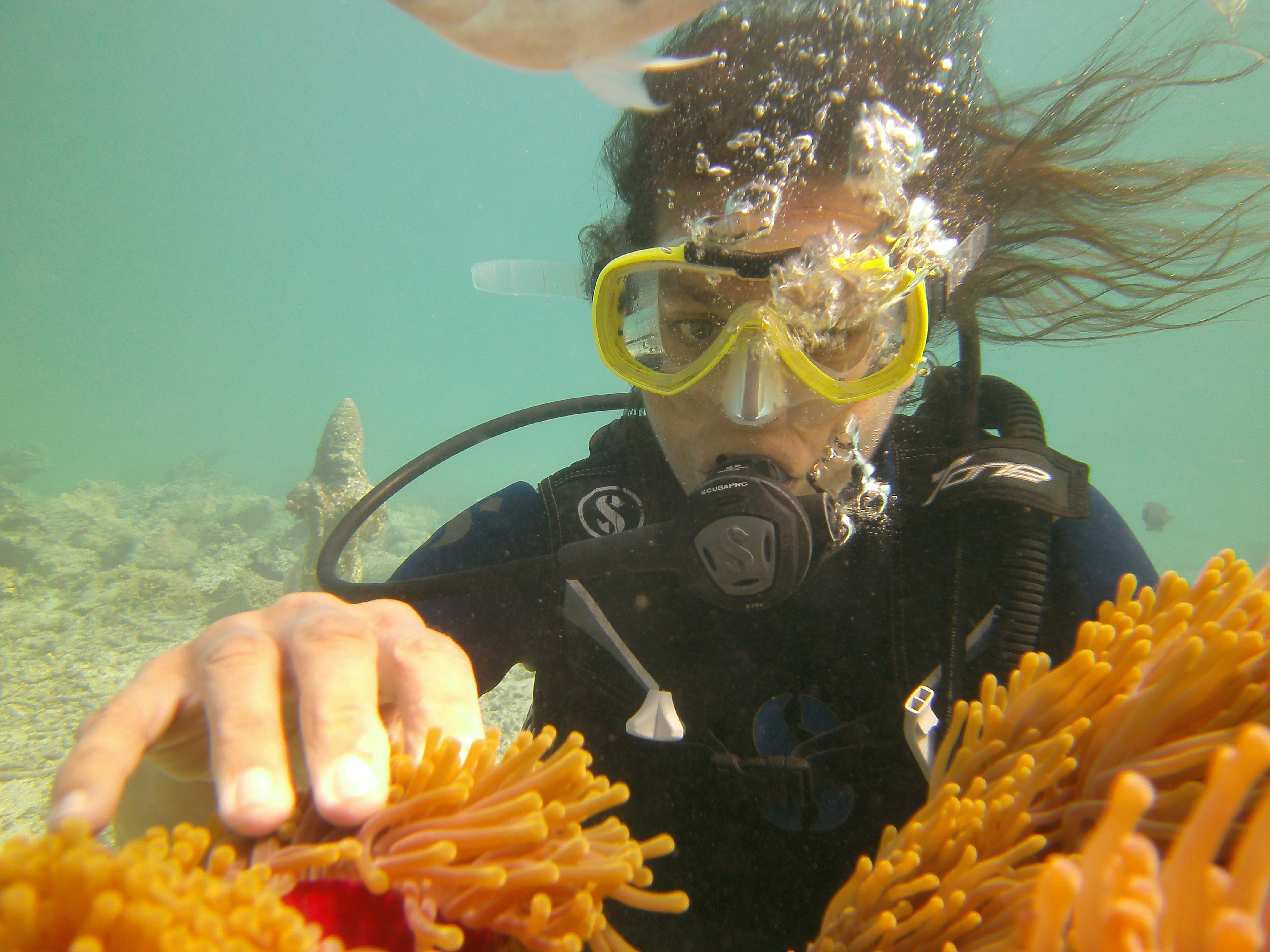 Belle Mare Scuba Discovery: East Coast Mauritius Dive