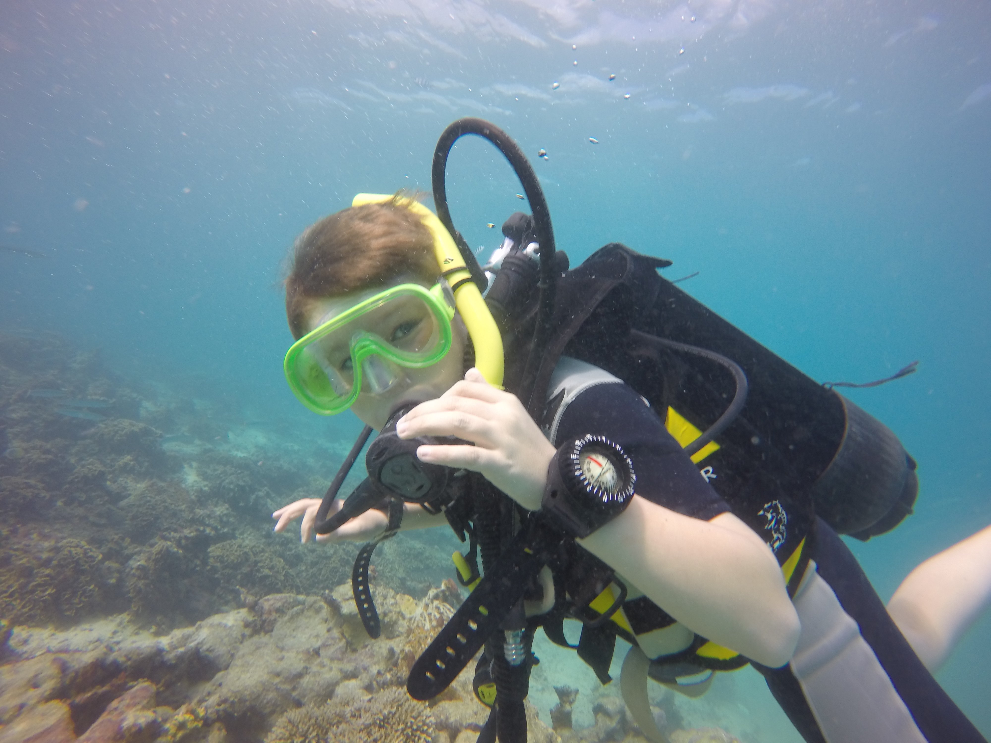 Belle Mare Scuba Discovery: East Coast Mauritius Dive