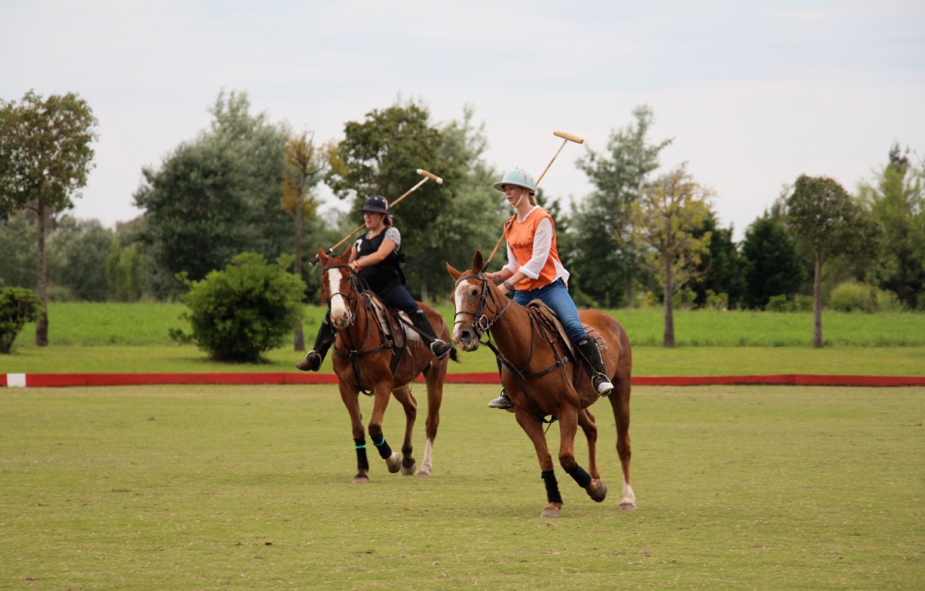 Buenos Aires Polo Day: Match, Lesson & Asado at Estancia
