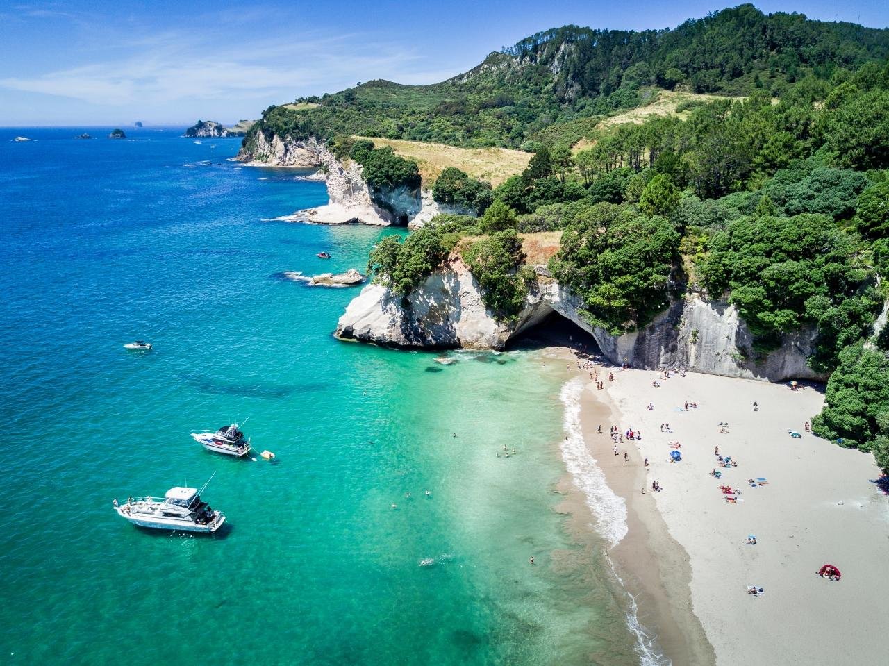 Coromandel Peninsula: Cathedral Cove & Hot Water Beach Day Trip