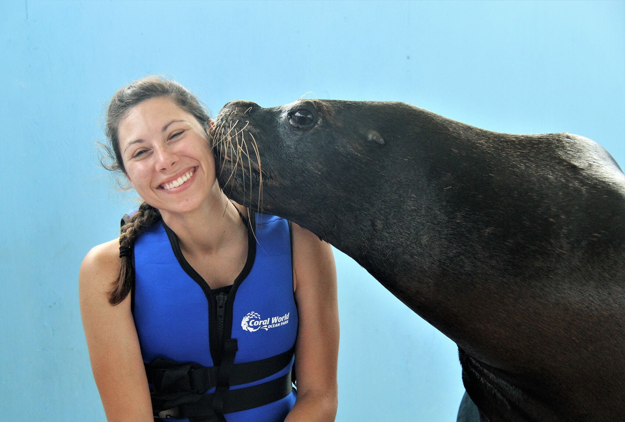 Sea Lion Encounter at St. Thomas Ocean Park