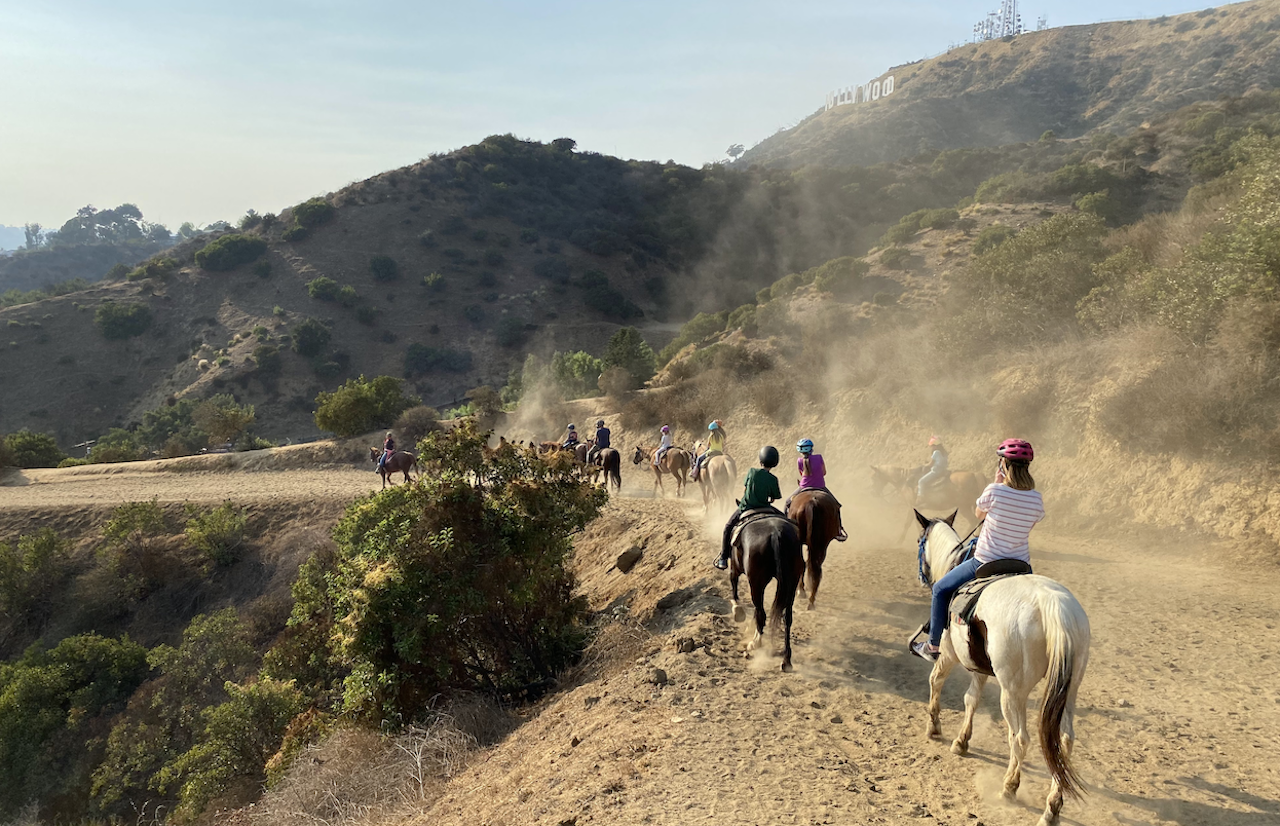 Hollywood Hills Horseback Ride Along Mulholland Trail