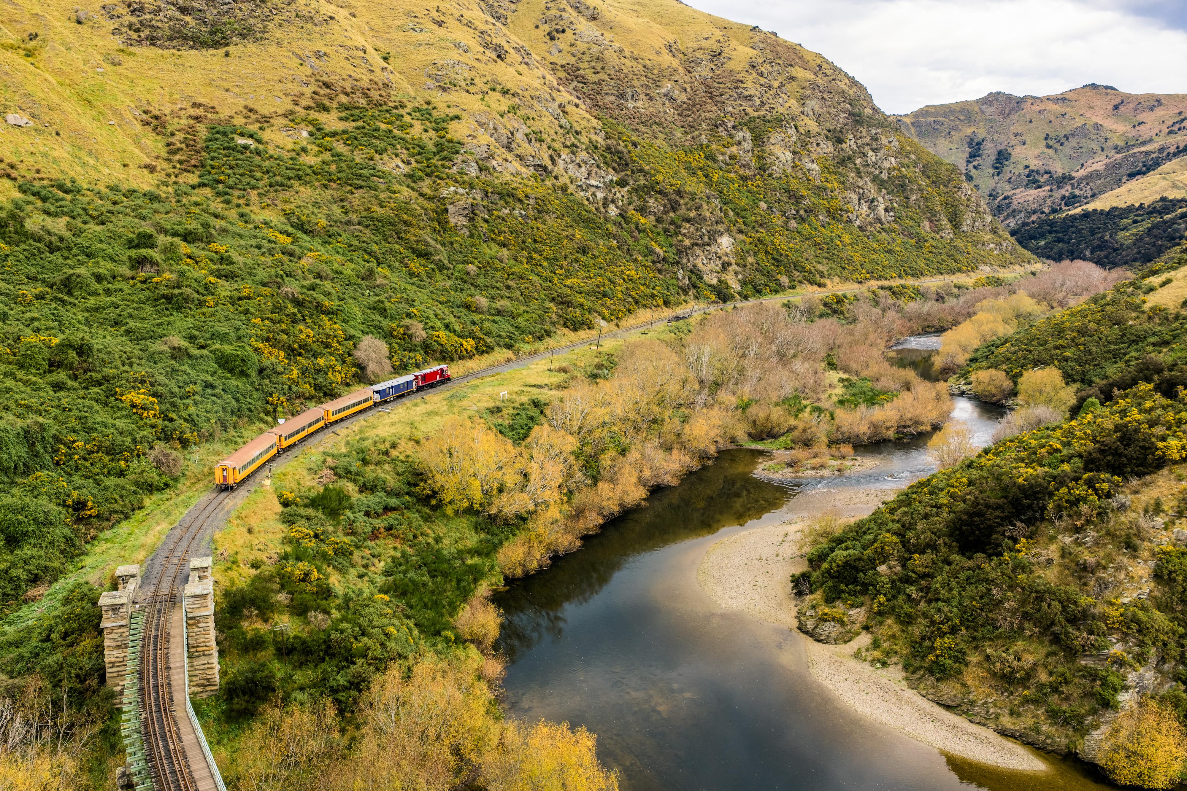 South Island guided tour photo — image 1