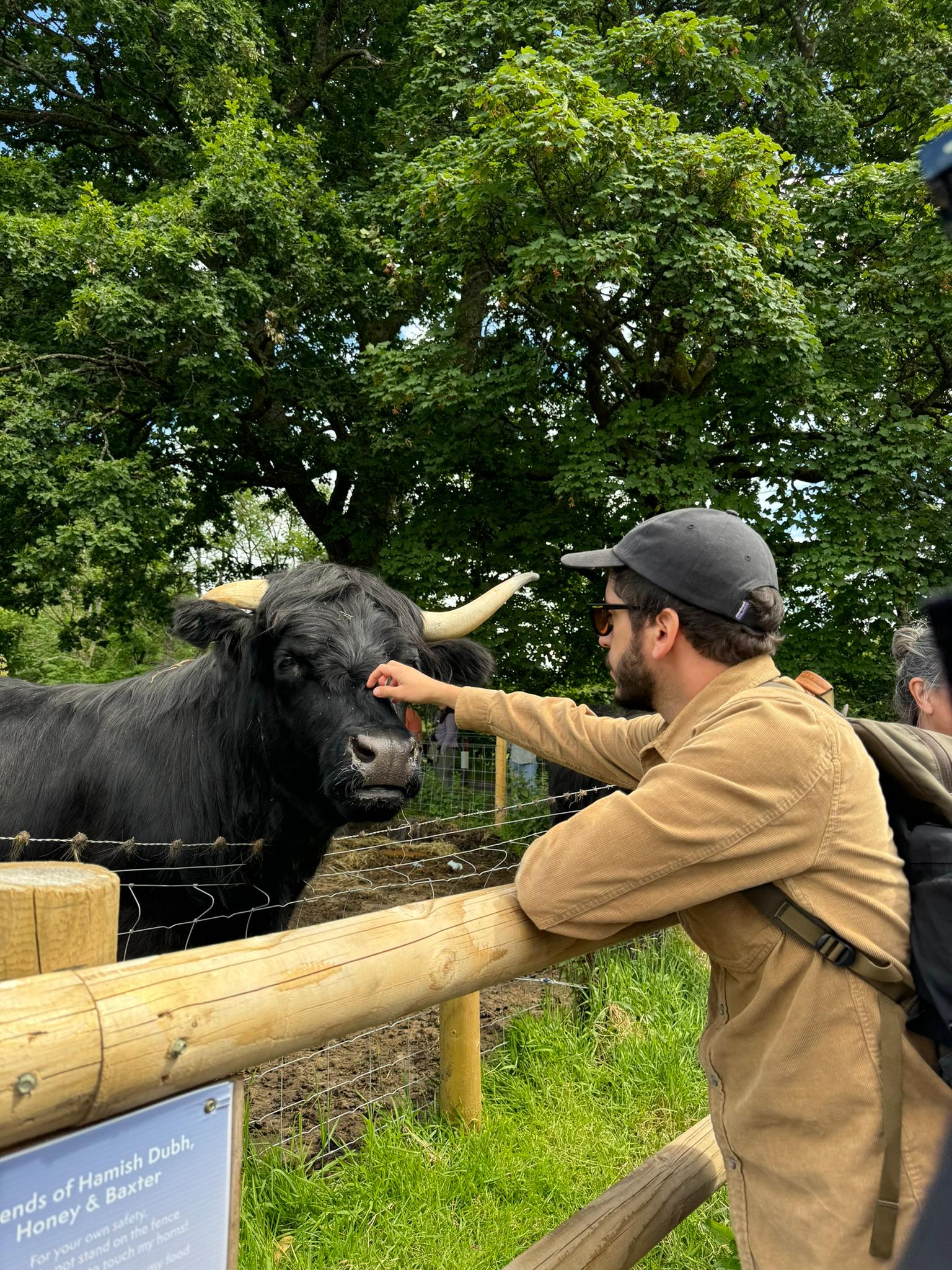 Loch Lomond, Trossachs & Stirling Castle Day Trip