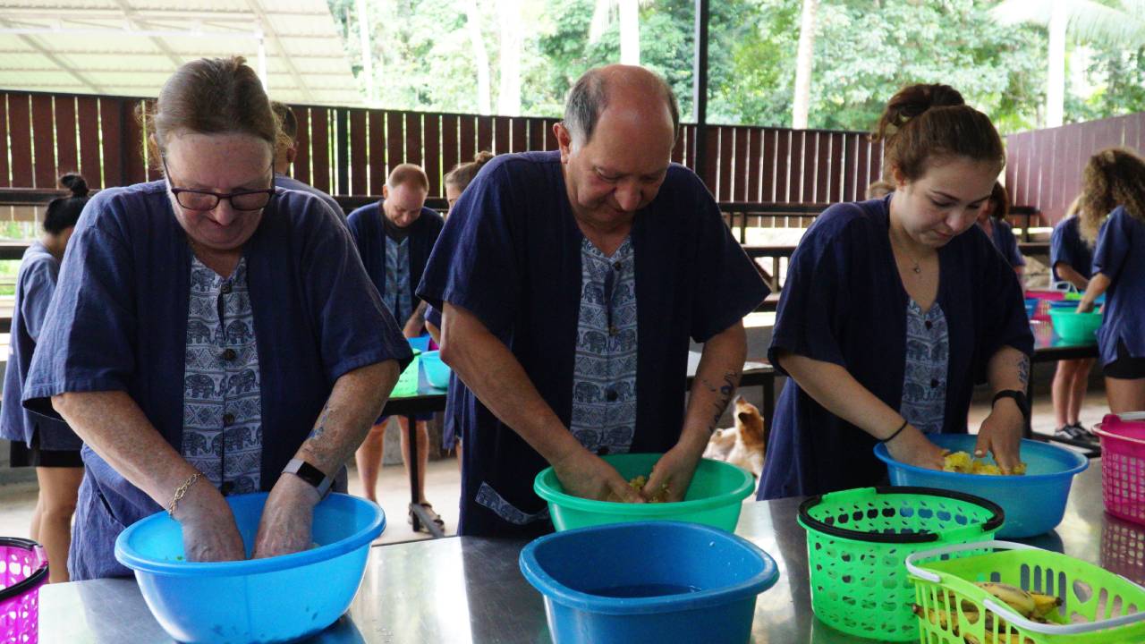 Ethical Half-Day Elephant Sanctuary Experience in Koh Samui
