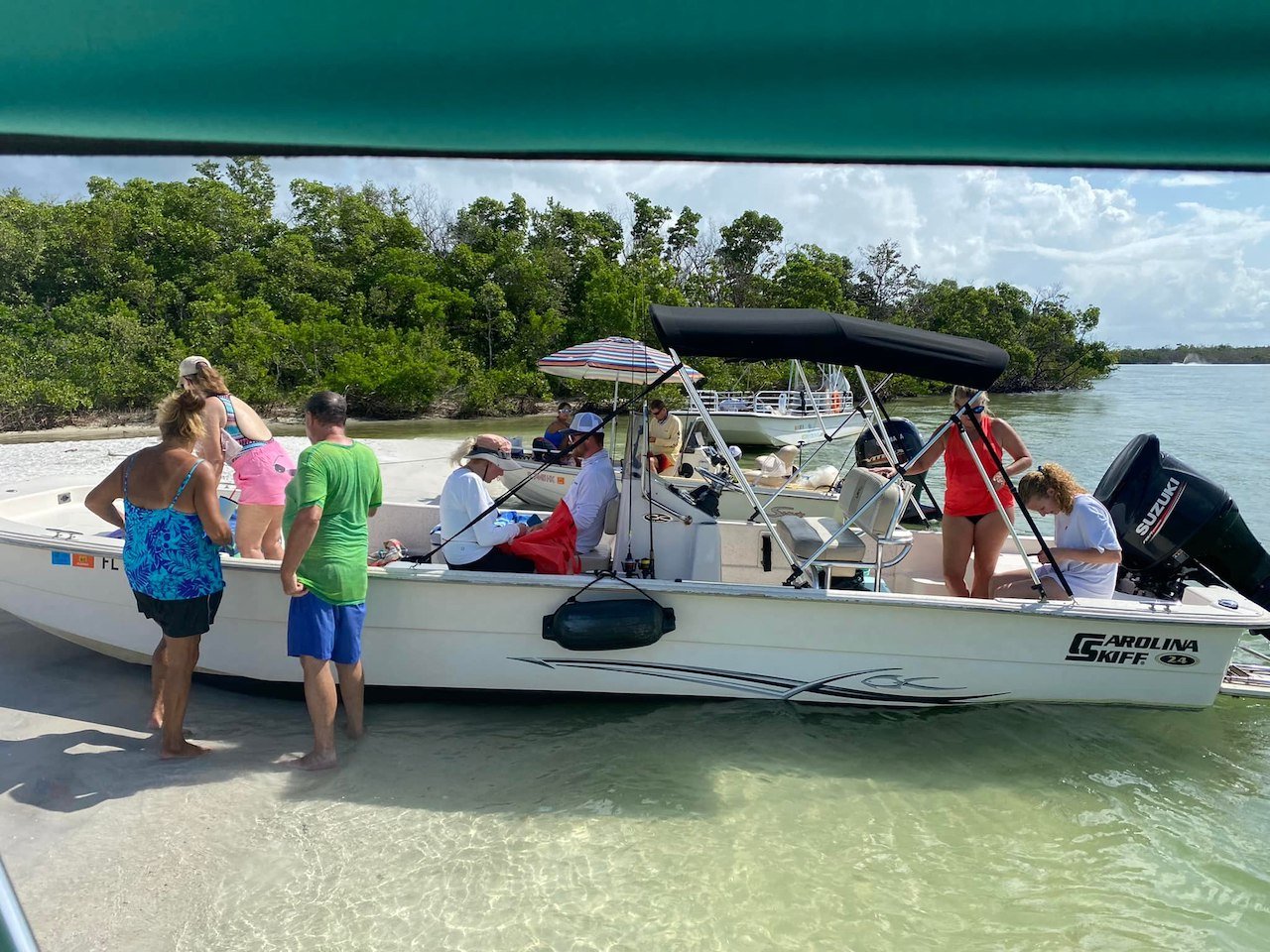 Dolphin Watching & Shelling Adventure in Ten Thousand Islands