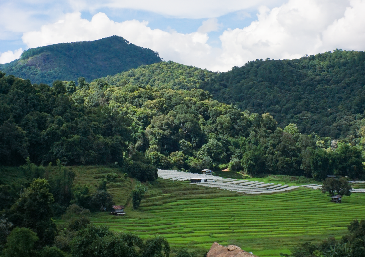 Doi Inthanon National Park Full-Day Adventure with Jungle Hike