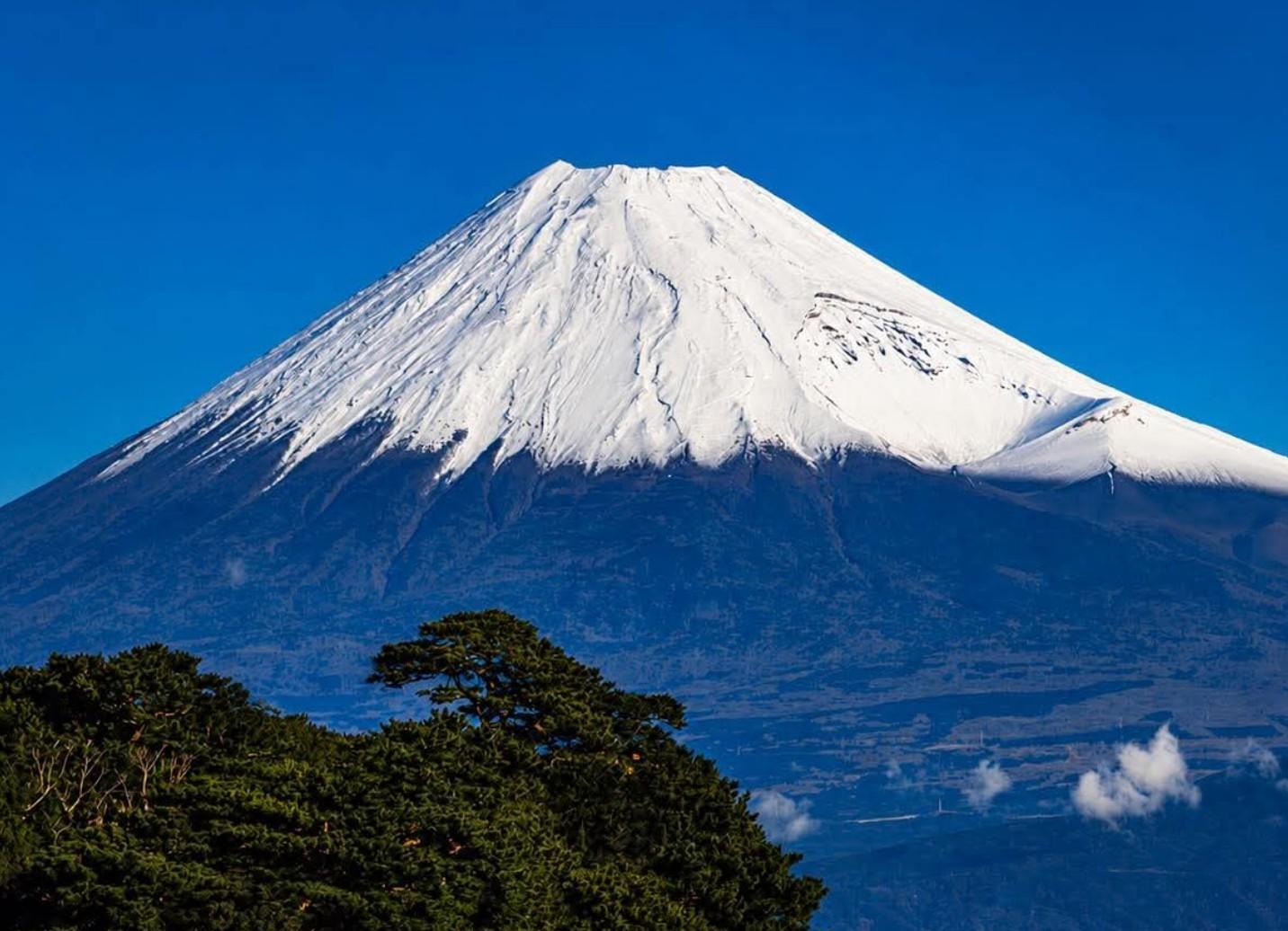Custom Mt. Fuji & Hakone Private Full-Day Tour from Tokyo