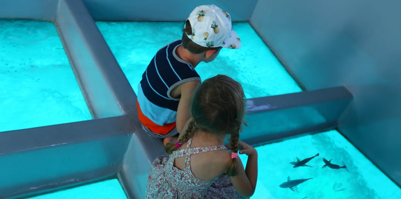 Sharm El Sheikh Glass-Bottom Submarine Tour with Hotel Transfer