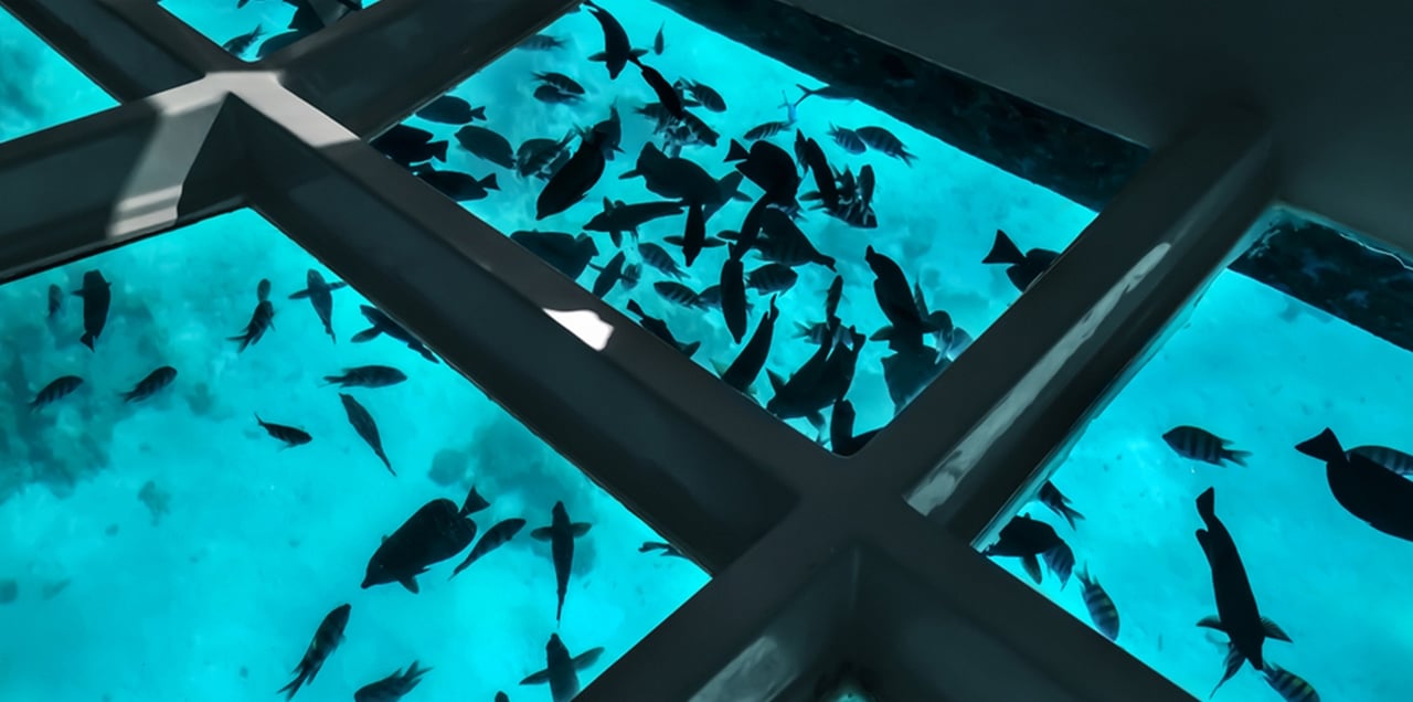 Sharm El Sheikh Glass-Bottom Submarine Tour with Hotel Transfer