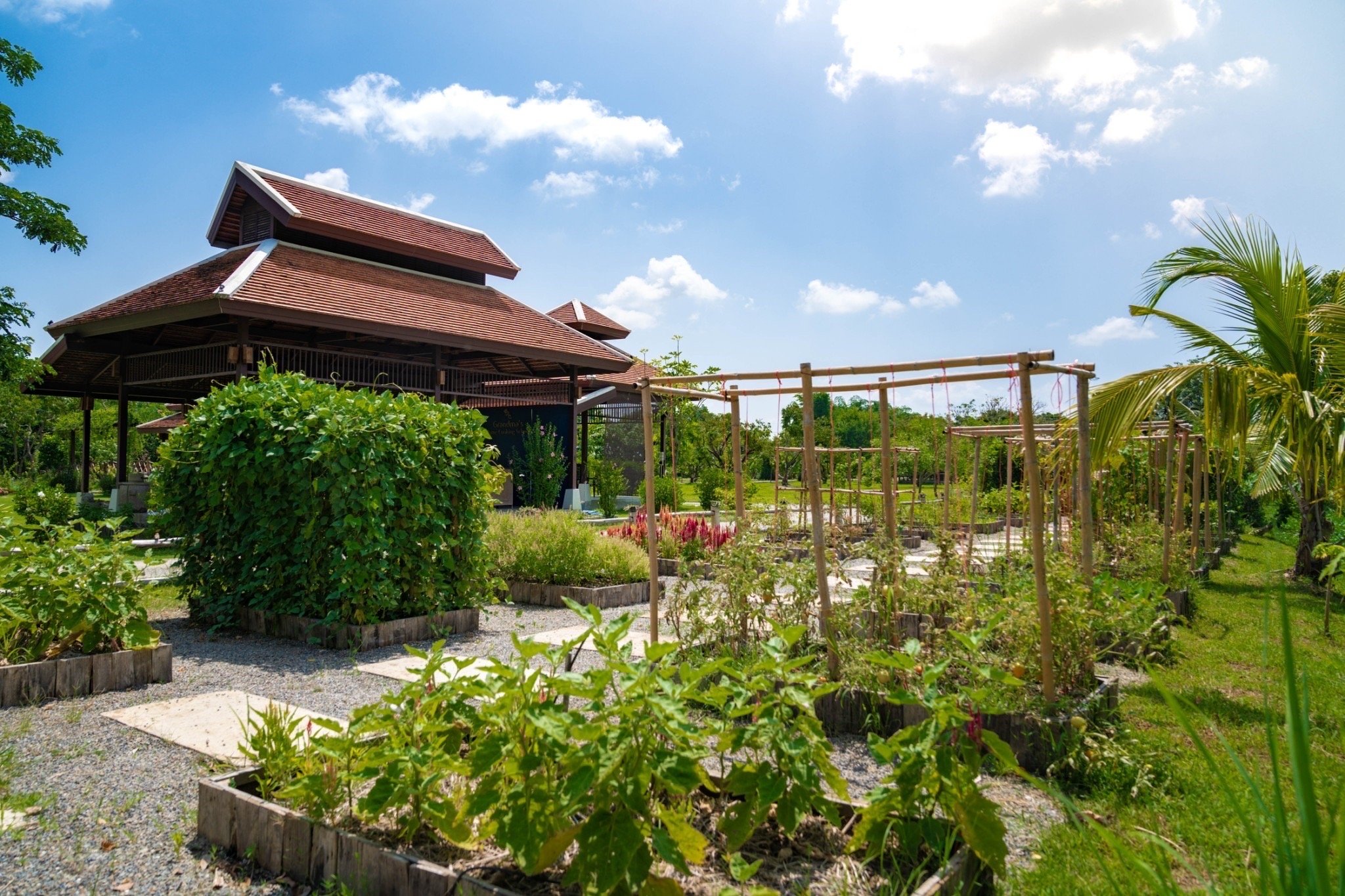 Thai Cooking Class in Chiang Mai — image 24