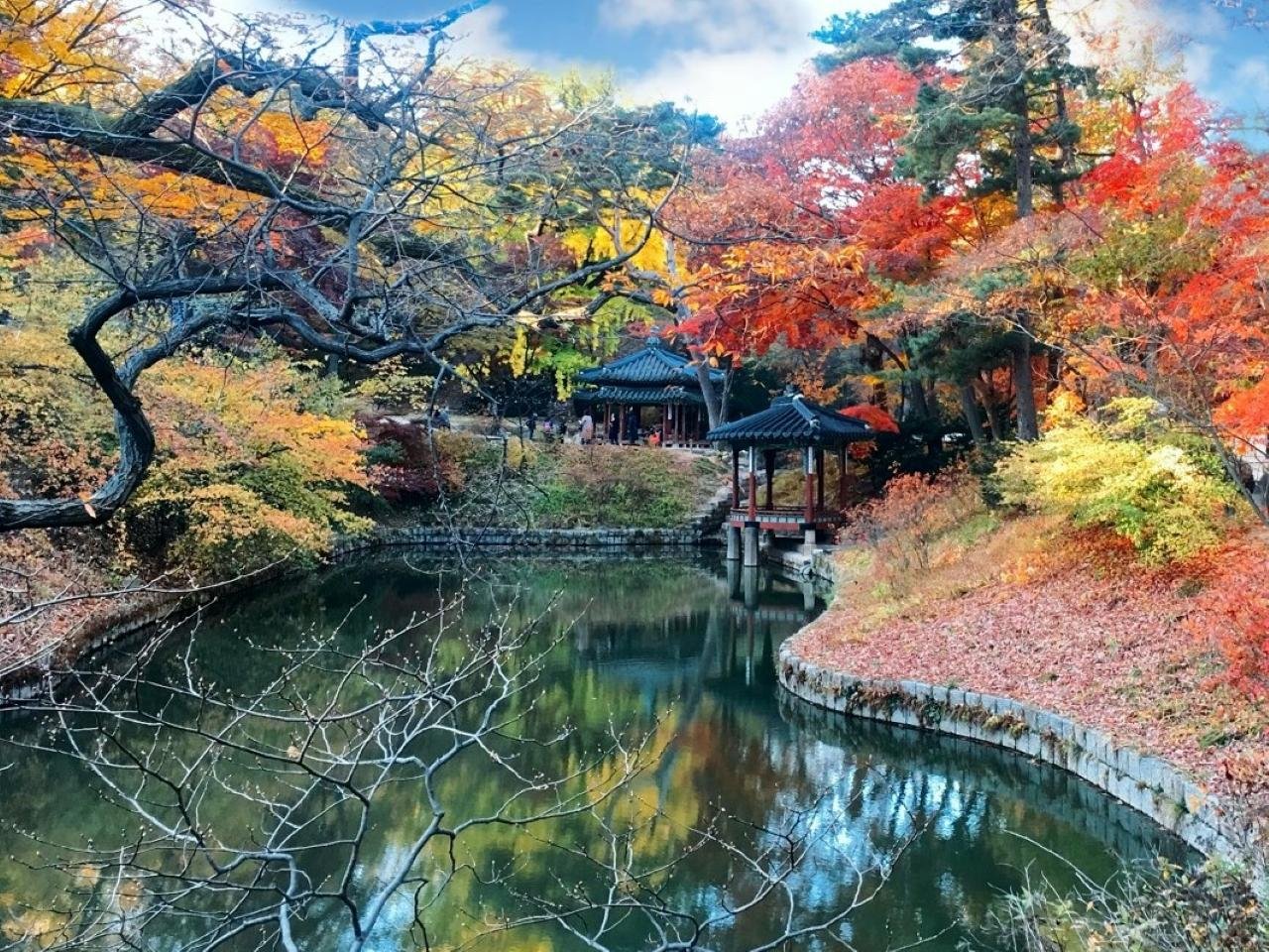 Private 10-Hour Seoul Charter with Dedicated Driver