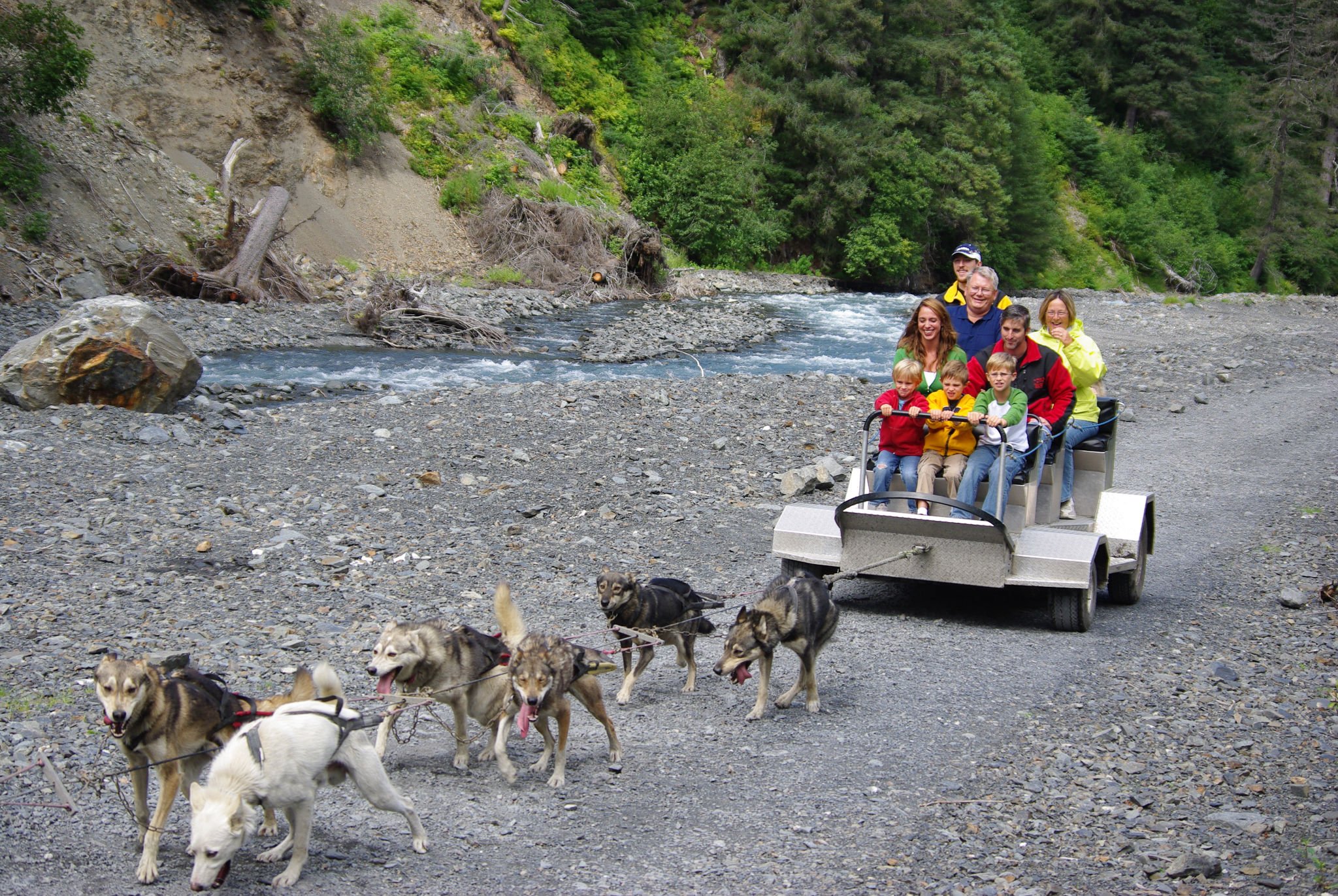 Summer Dog Sled Adventure at Seavey Homestead