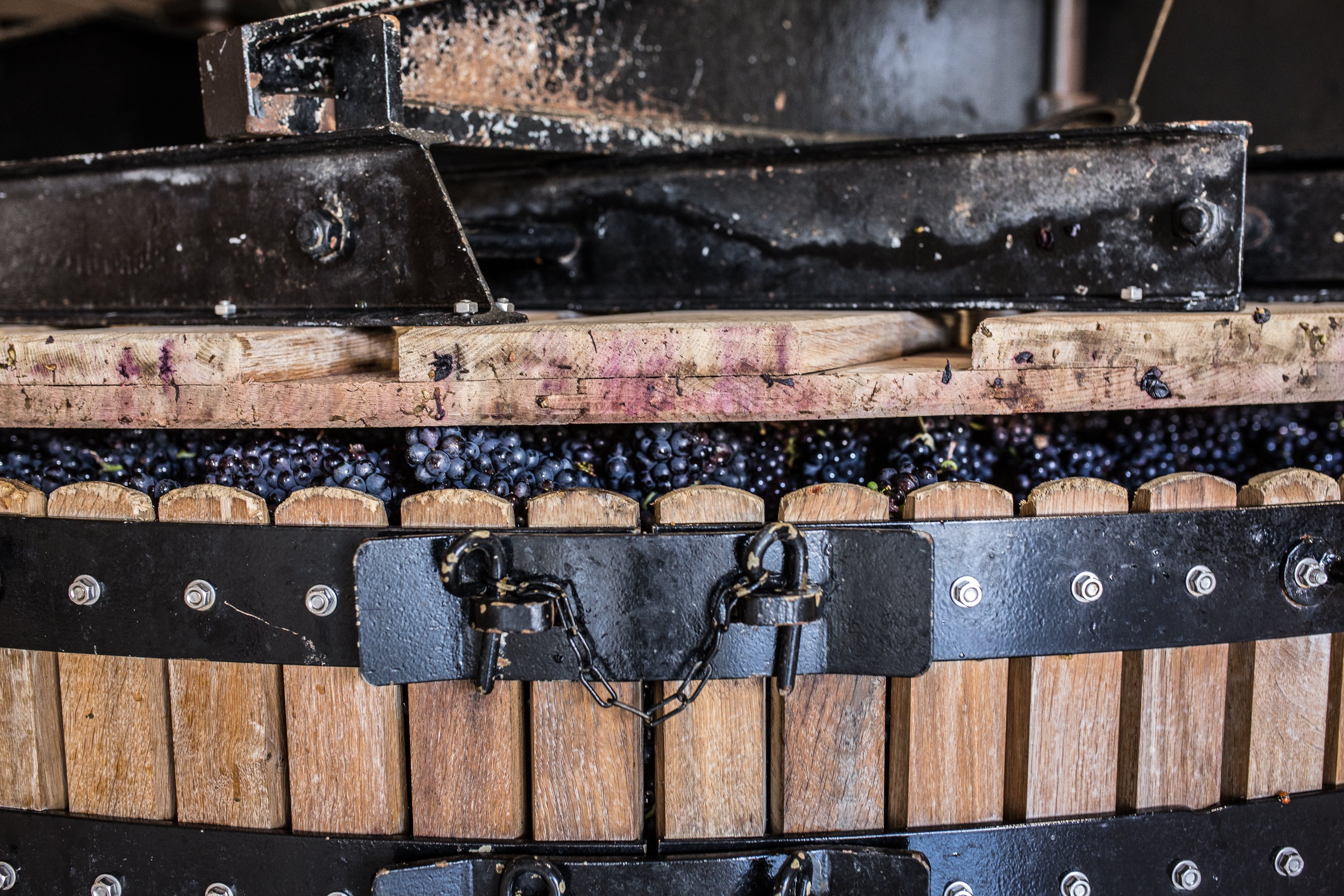 Authentic Champagne Tour + 3 Champagnes 100% Meunier