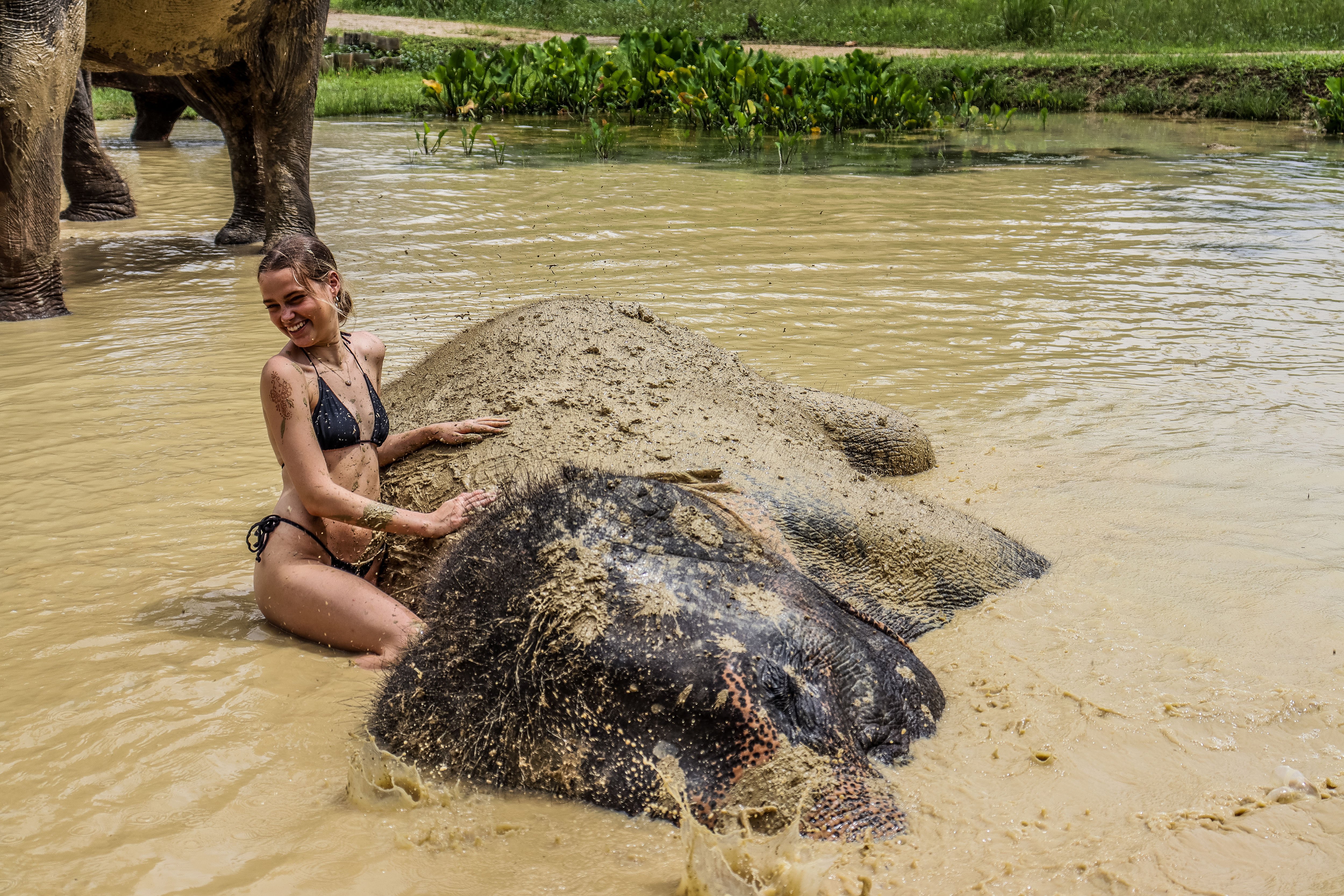 Ao Nang Elephant Sanctuary Half-Day Experience