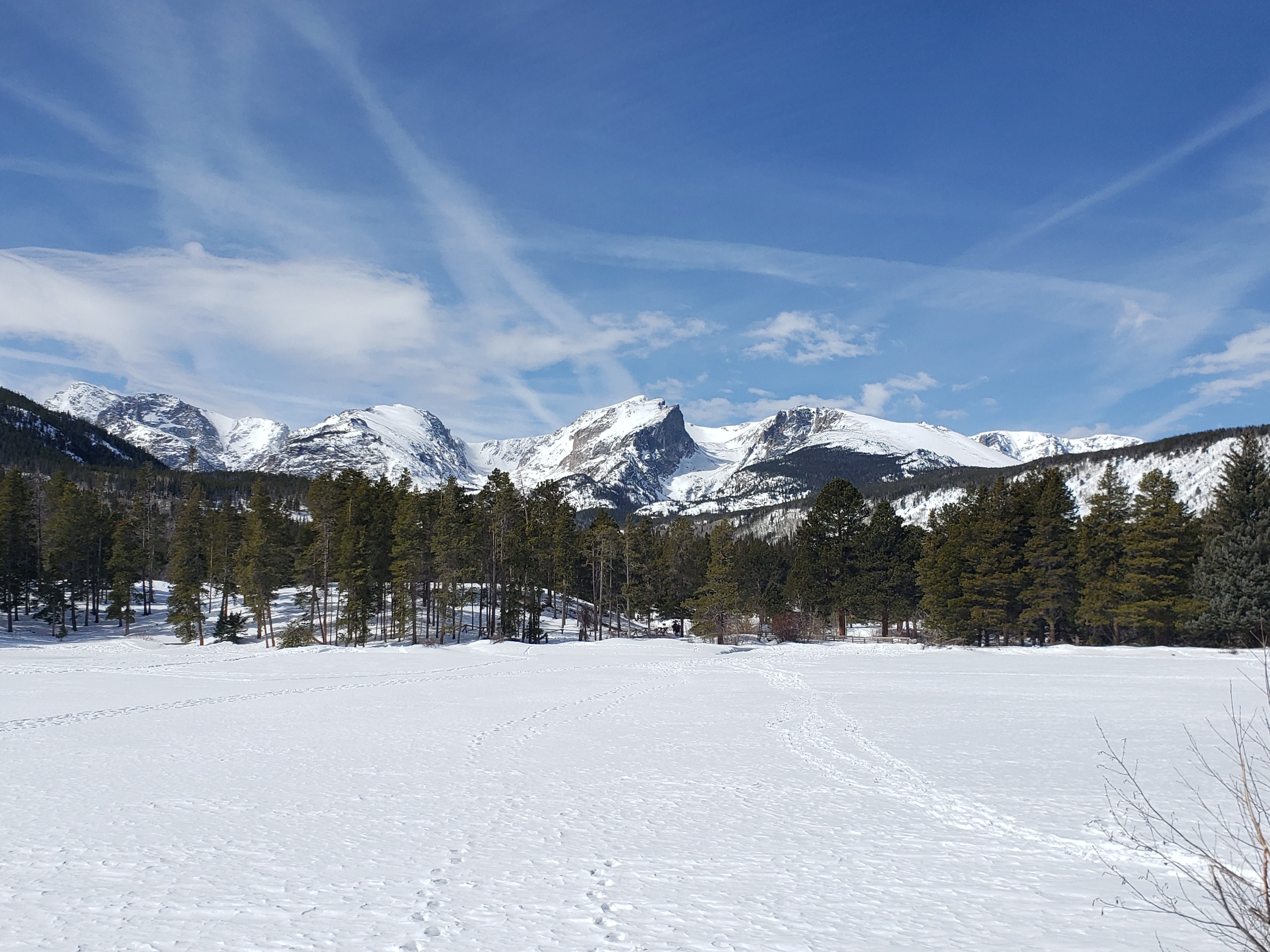Rocky Mountain National Park Winter Tour from Denver