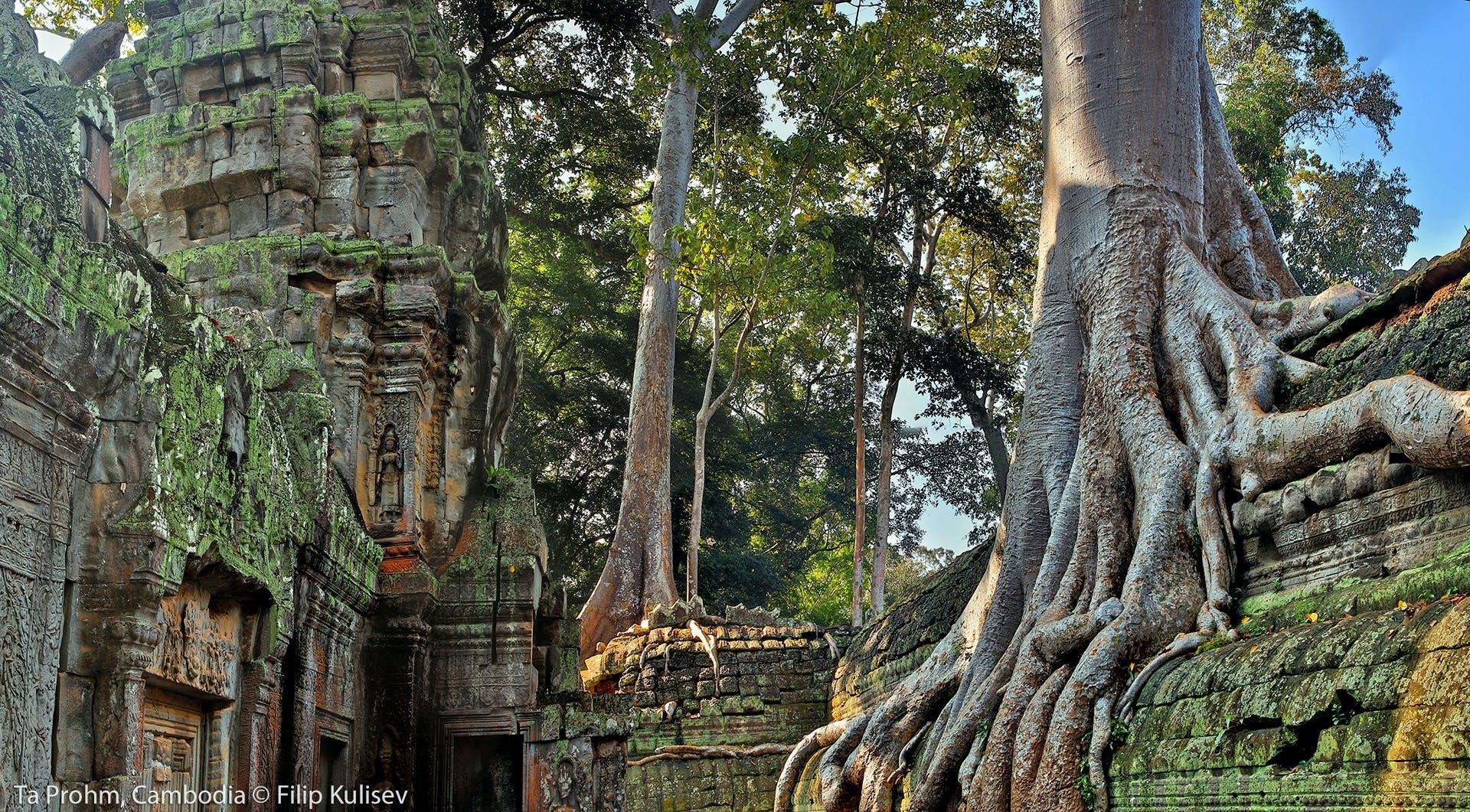 Angkor Wat Small-Group Sunrise or Sunset Expedition