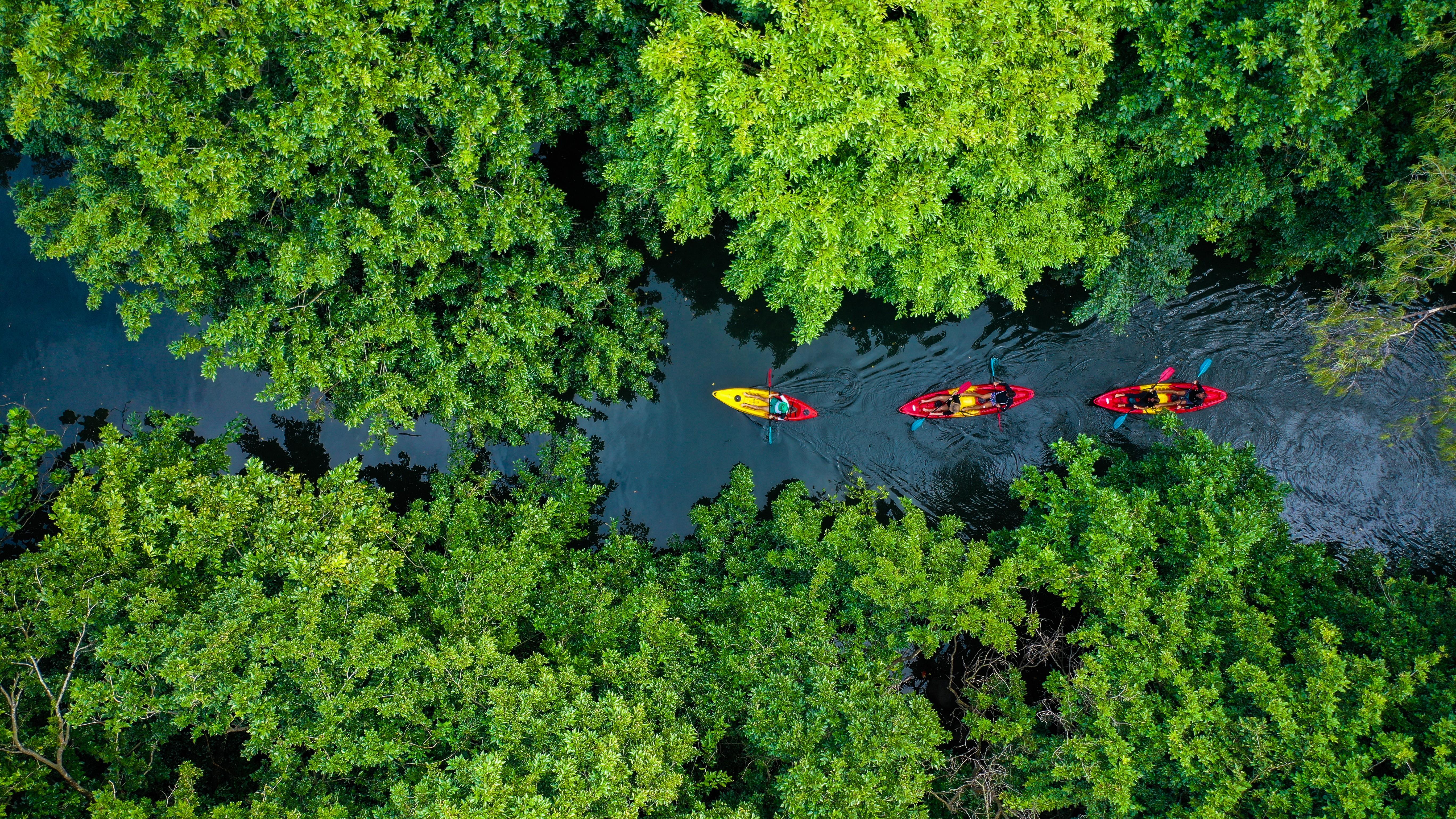 Guided Kayak Adventure on Tamarin River