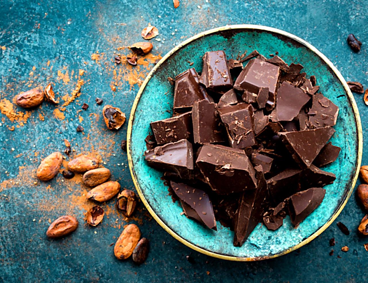 Amazon Cacao & Chocolate Making Workshop in Tena