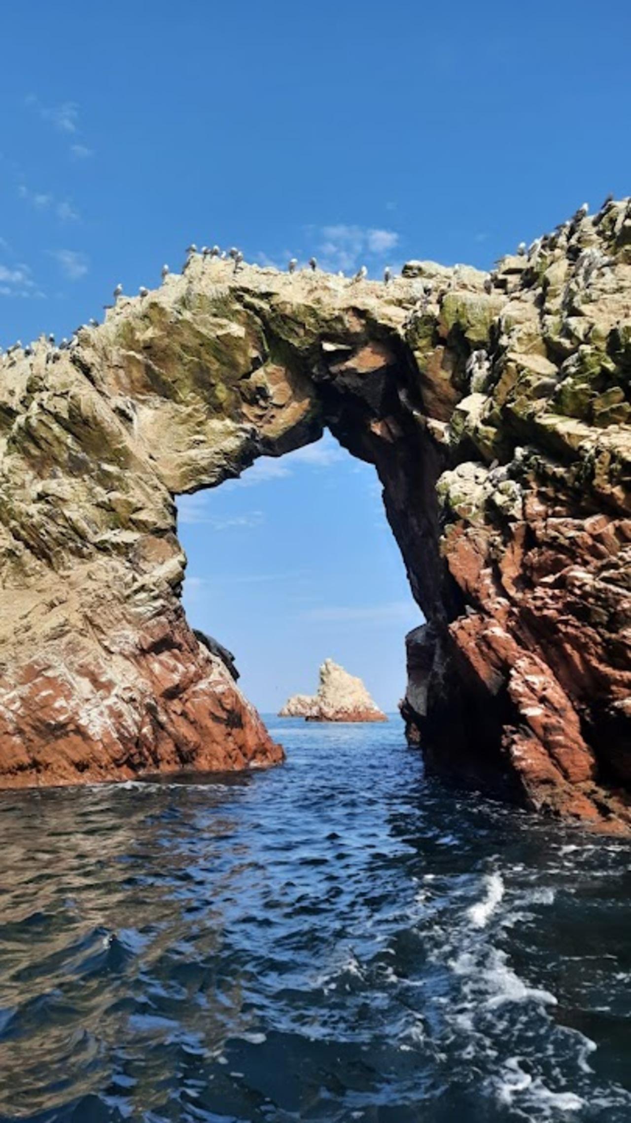Excursión de un día a Paracas y Huacachina: vida silvestre, aventura en el desierto y cata de vinos