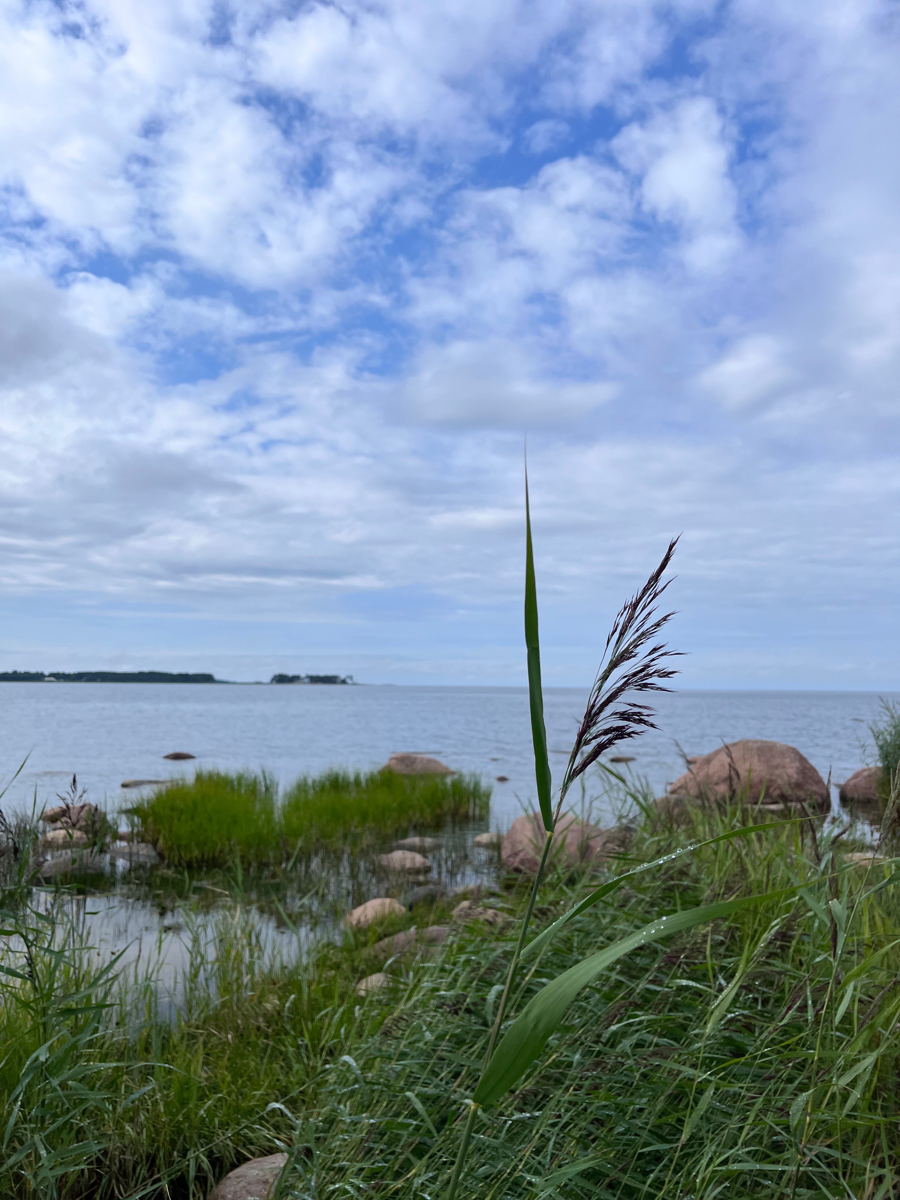 From Tallinn: Lahemaa National Park Day Trip