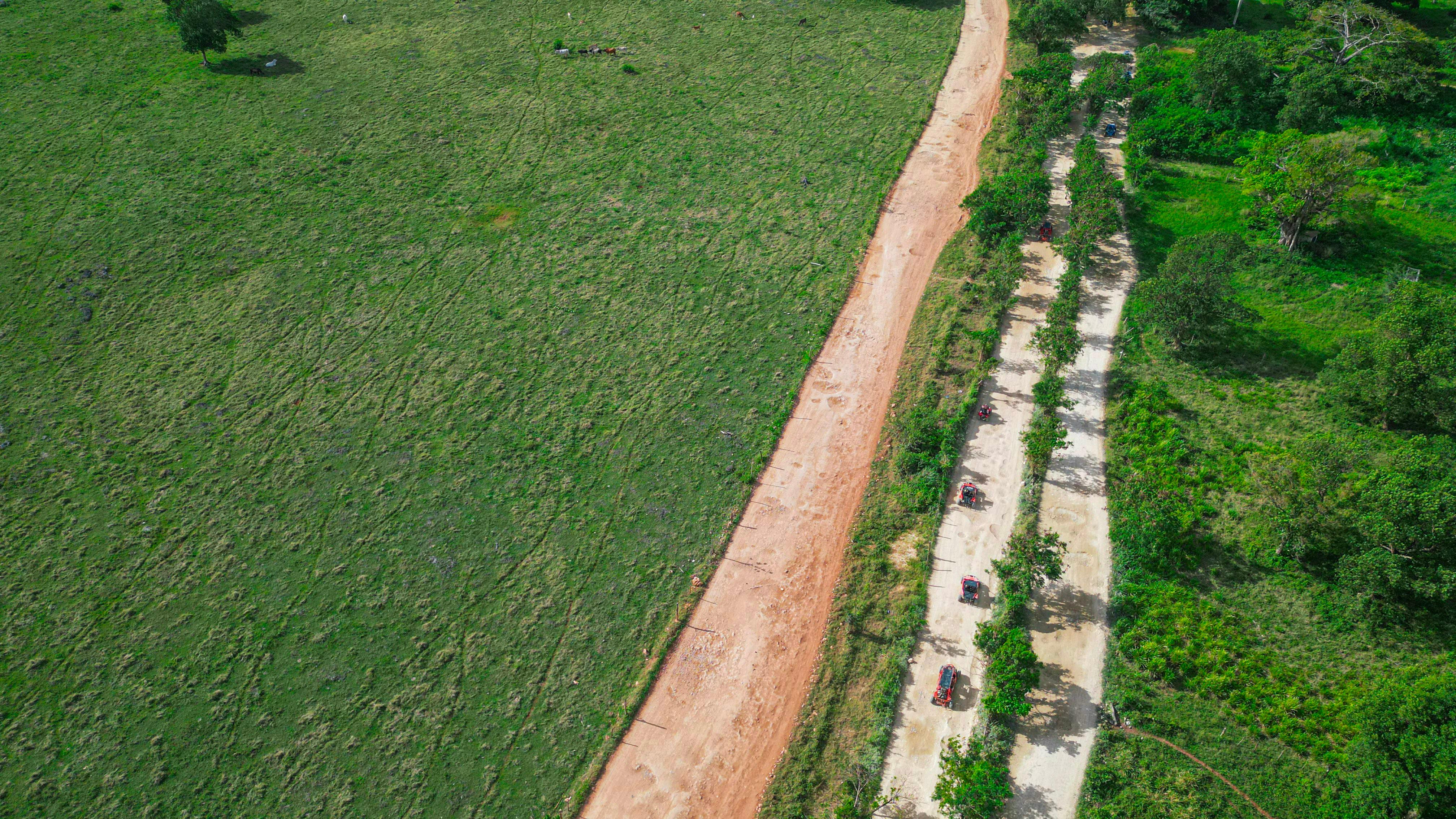 Punta Cana Off-Road Adventure: Buggy Tour, Cave Swim & Macao Beach