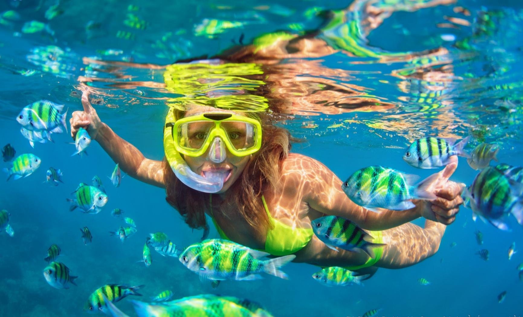 Cabo Catamaran Snorkel & Sightseeing with Open Bar