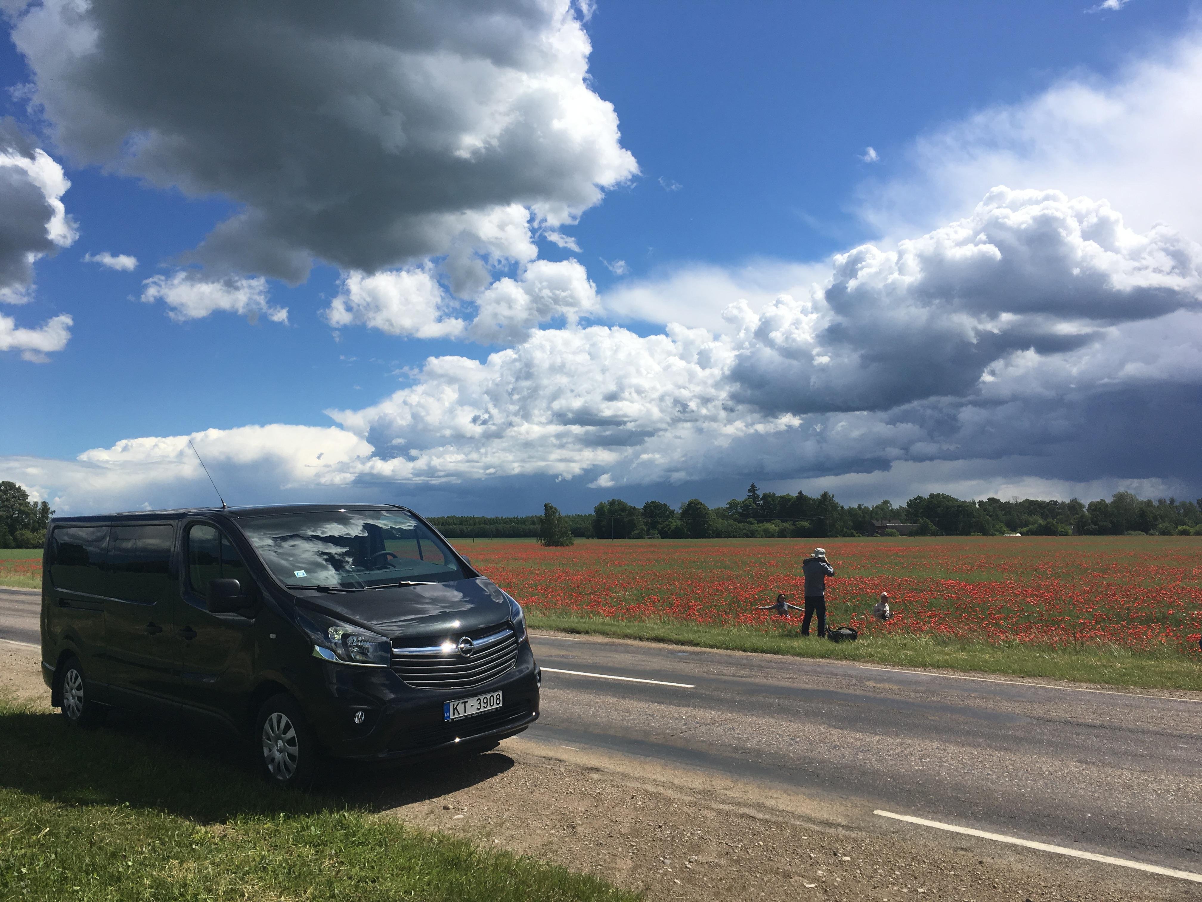 Private Vilnius to Riga Transfer with Palace & Castle Stops