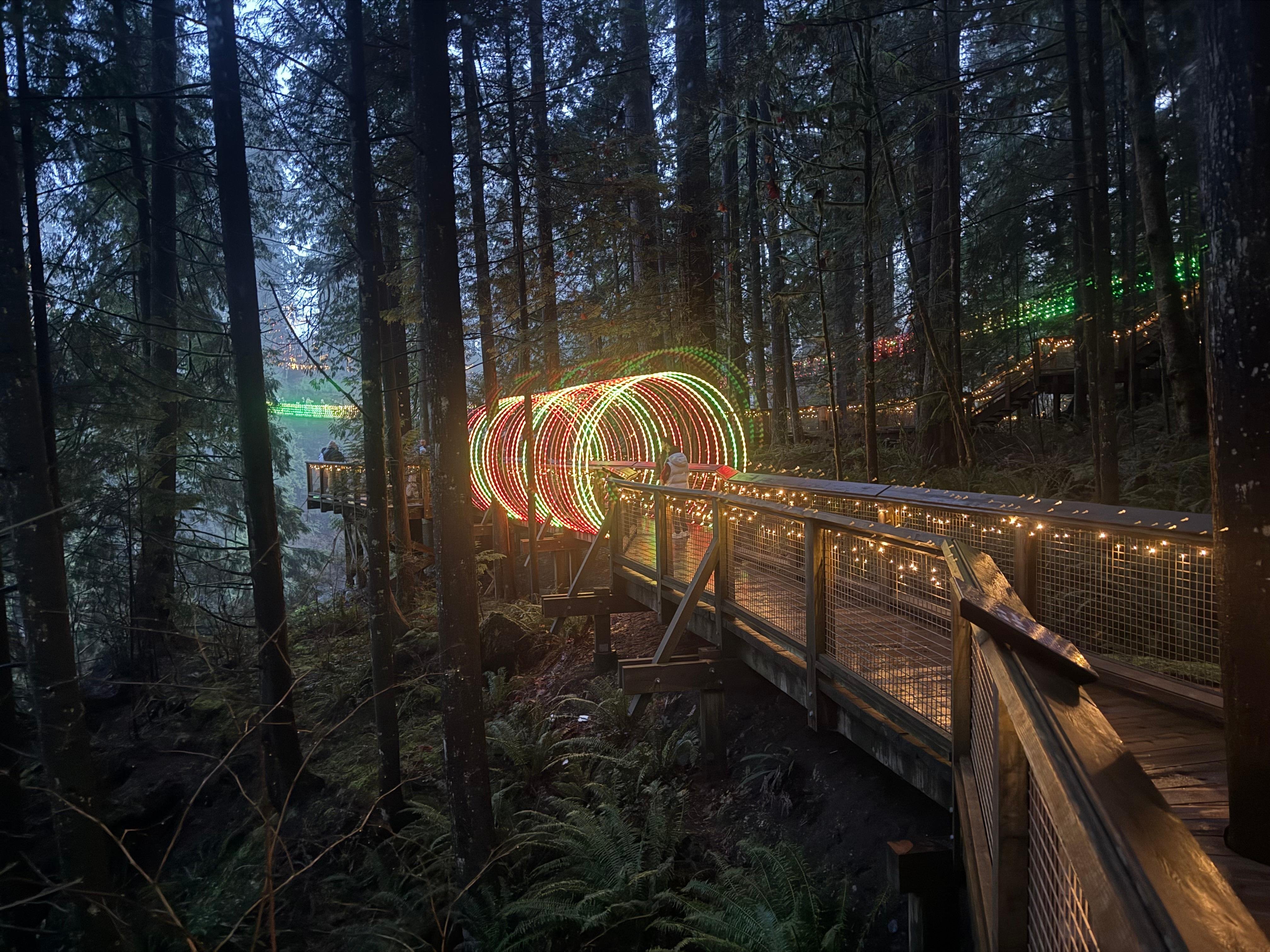 Capilano Suspension Bridge & Stanley Park Small Group Tour