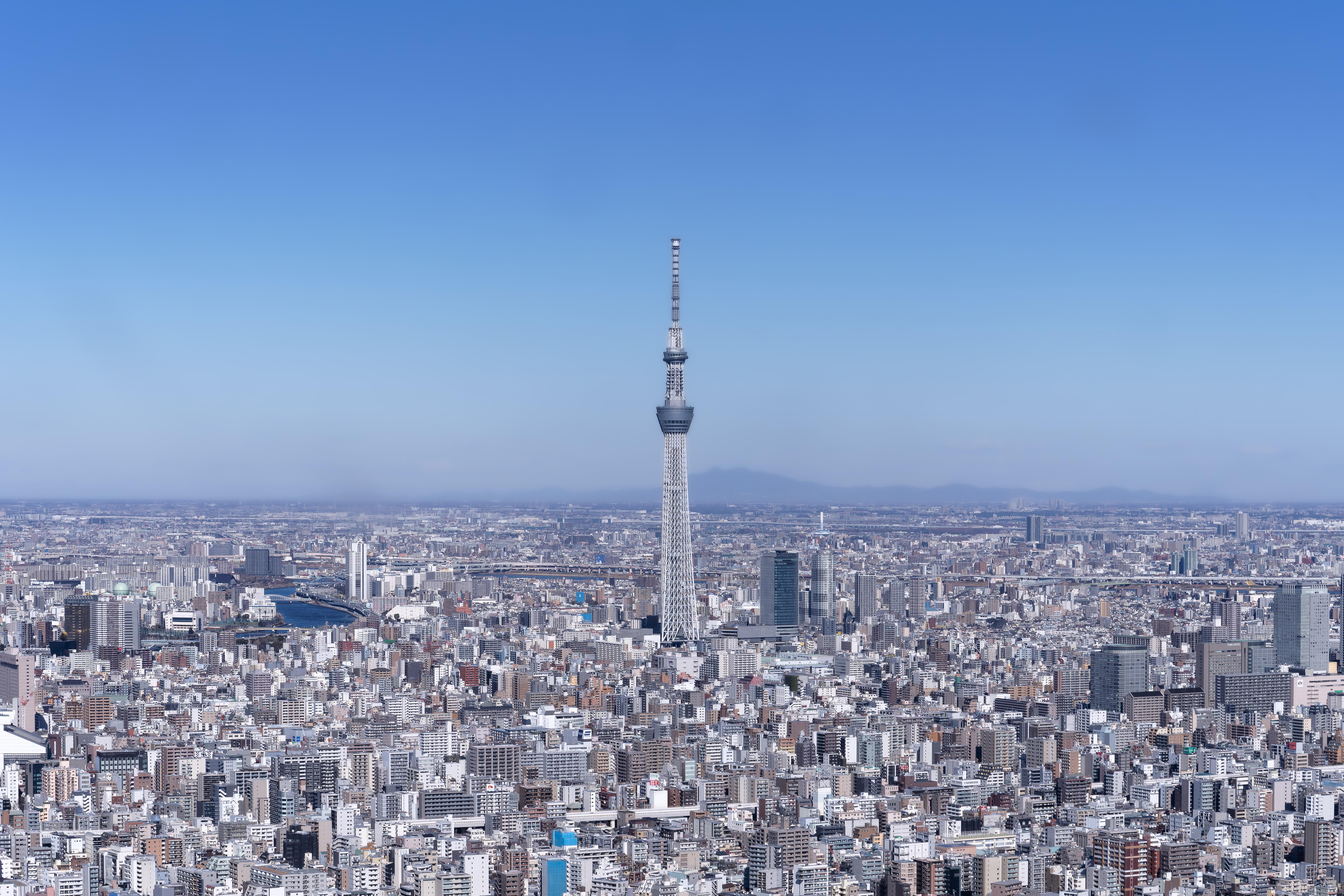 private helicopter tour over Tokyo — image 5