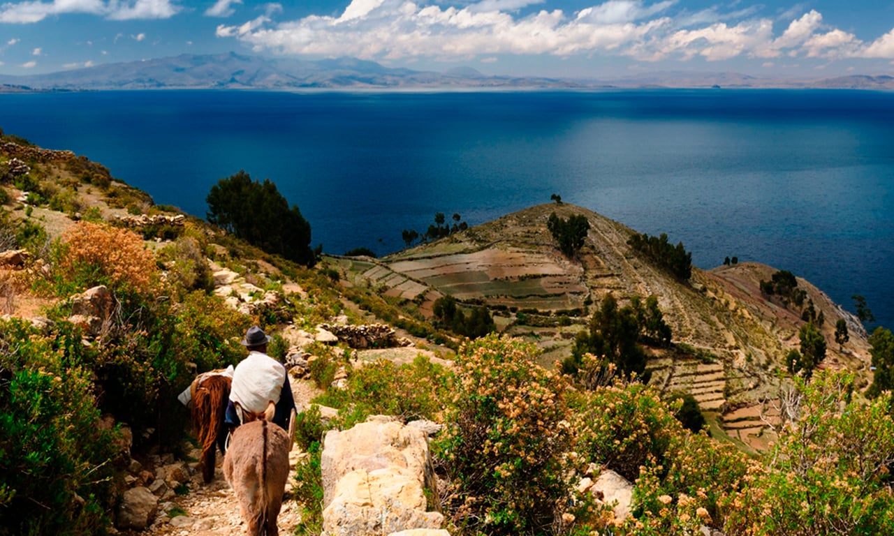 Excursion d'une journée à Copacabana et l'Isla del Sol au départ de La Paz