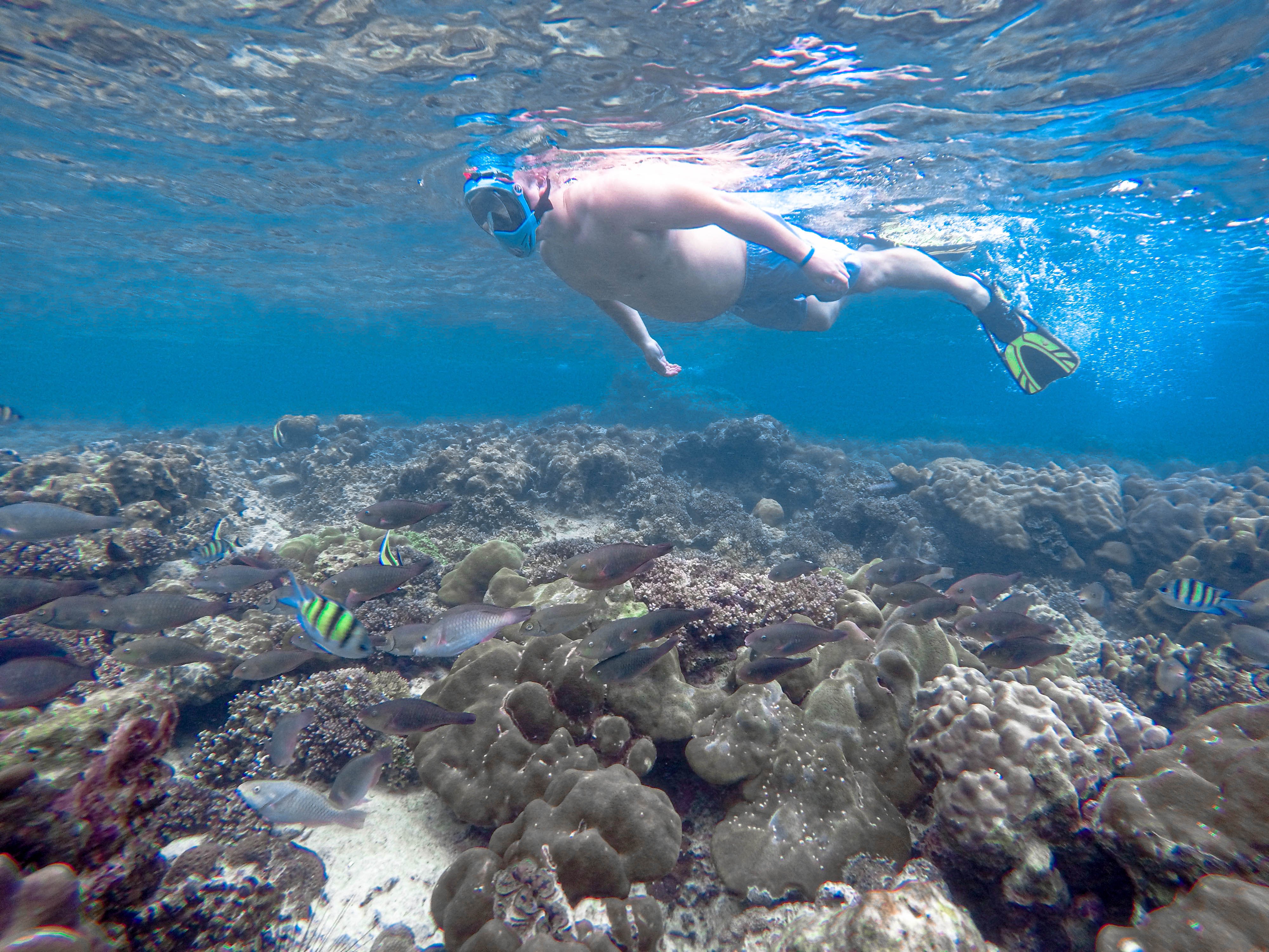 Phi Phi & Bamboo Islands Premium Speedboat Day Trip from Phuket