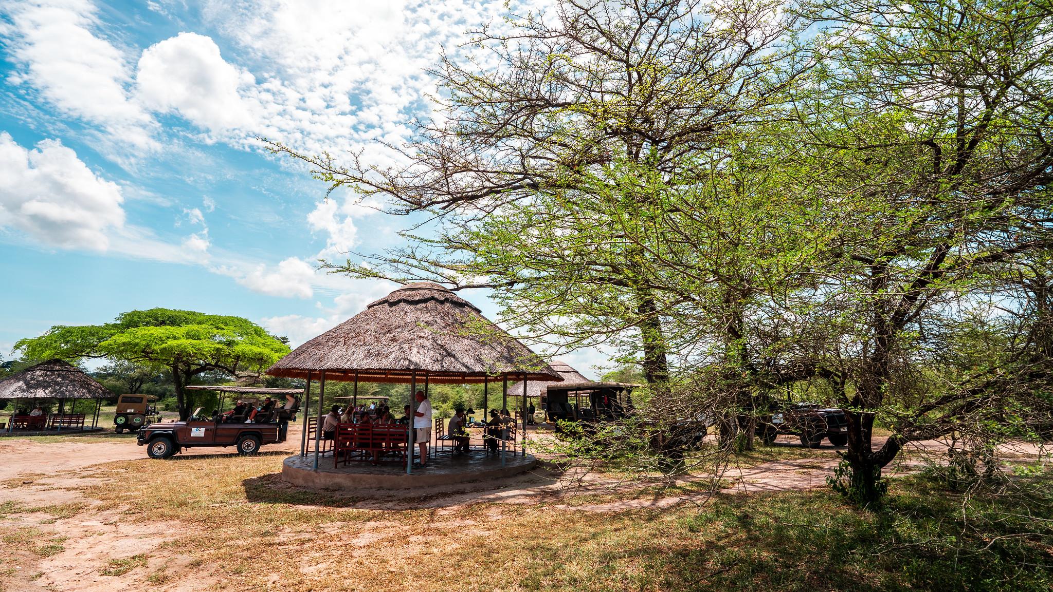 Zanzibar to Selous: Full-Day Safari with Bush Lunch (+ 2-Day Option)