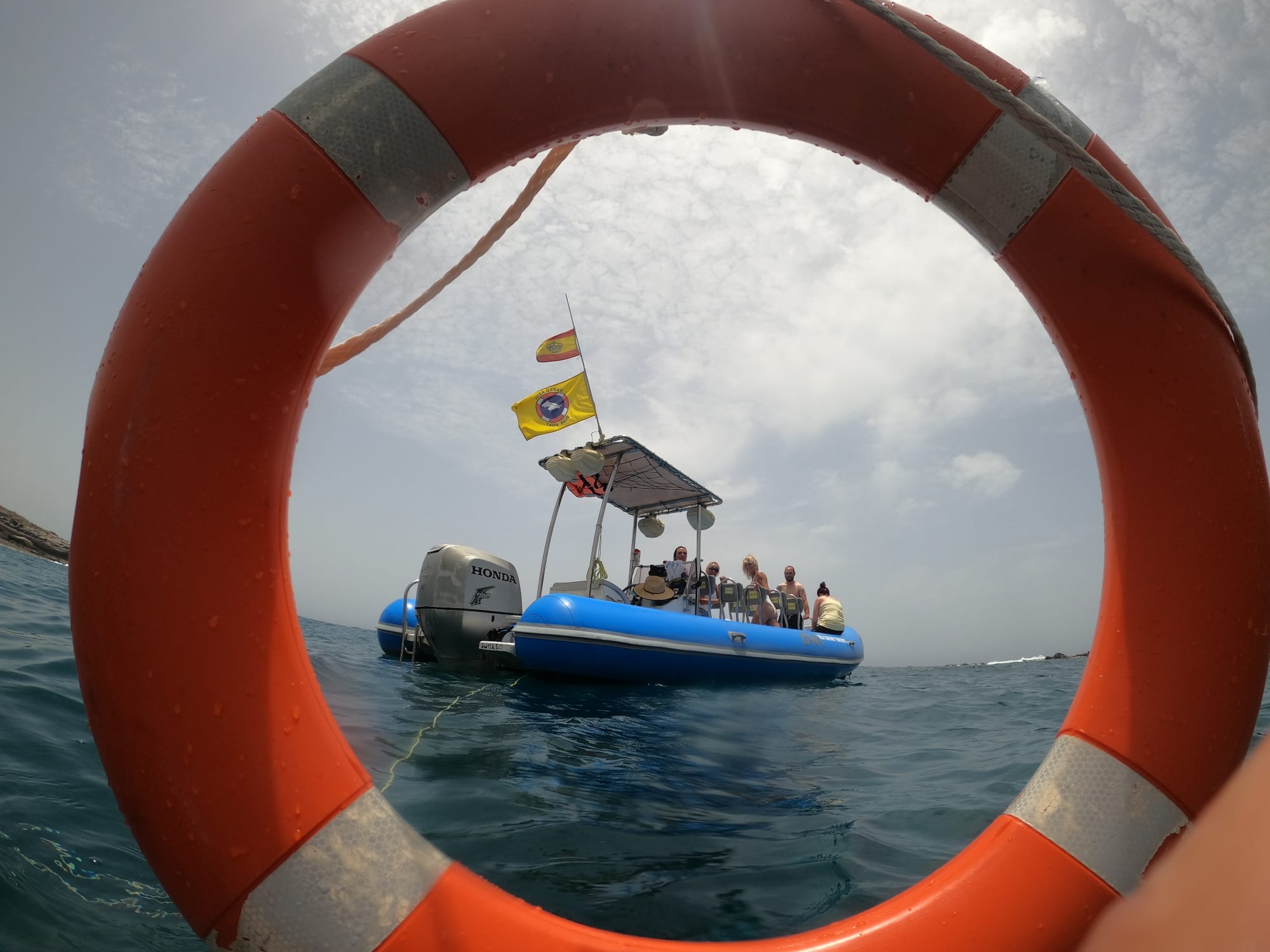 Costa Adeje: Speedboat Wildlife Safari & Snorkel Adventure