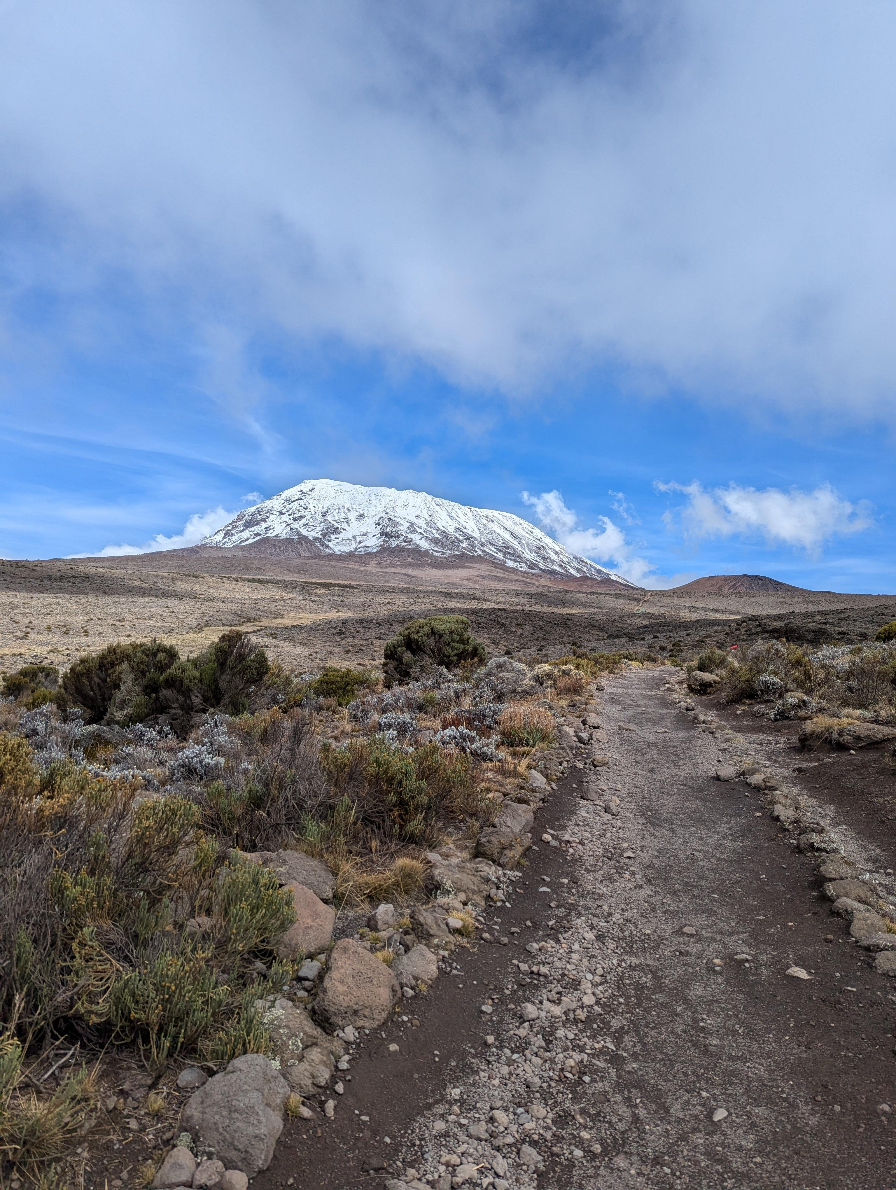 Mount Kilimanjaro Day Hike – Machame Route Rainforest Trek