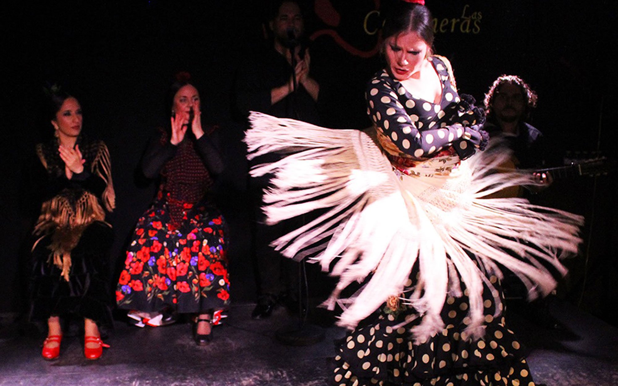 Madrid Flamenco & Tapas Evening Experience