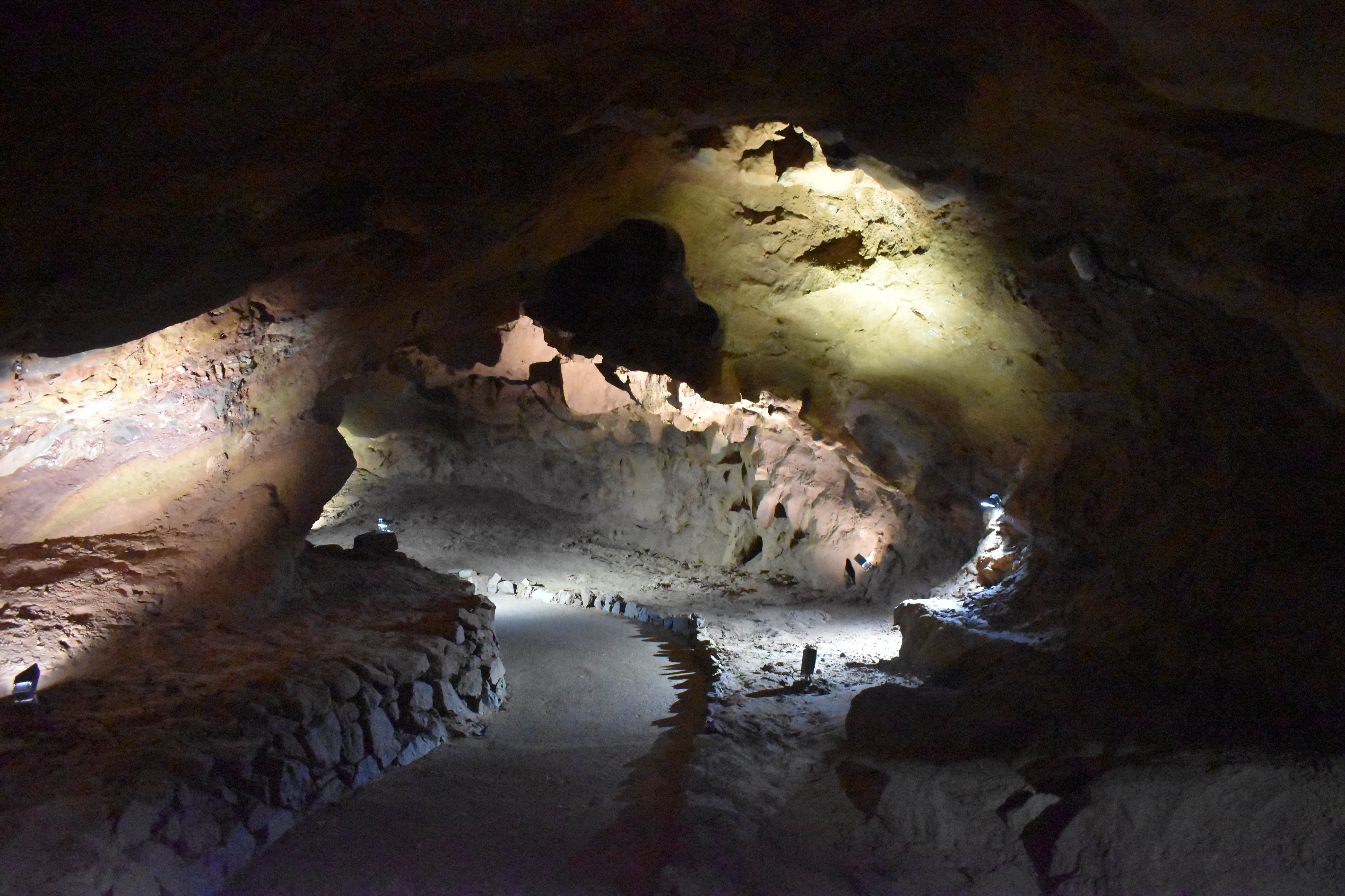 Valencia: Caves of San José Underground River Tour