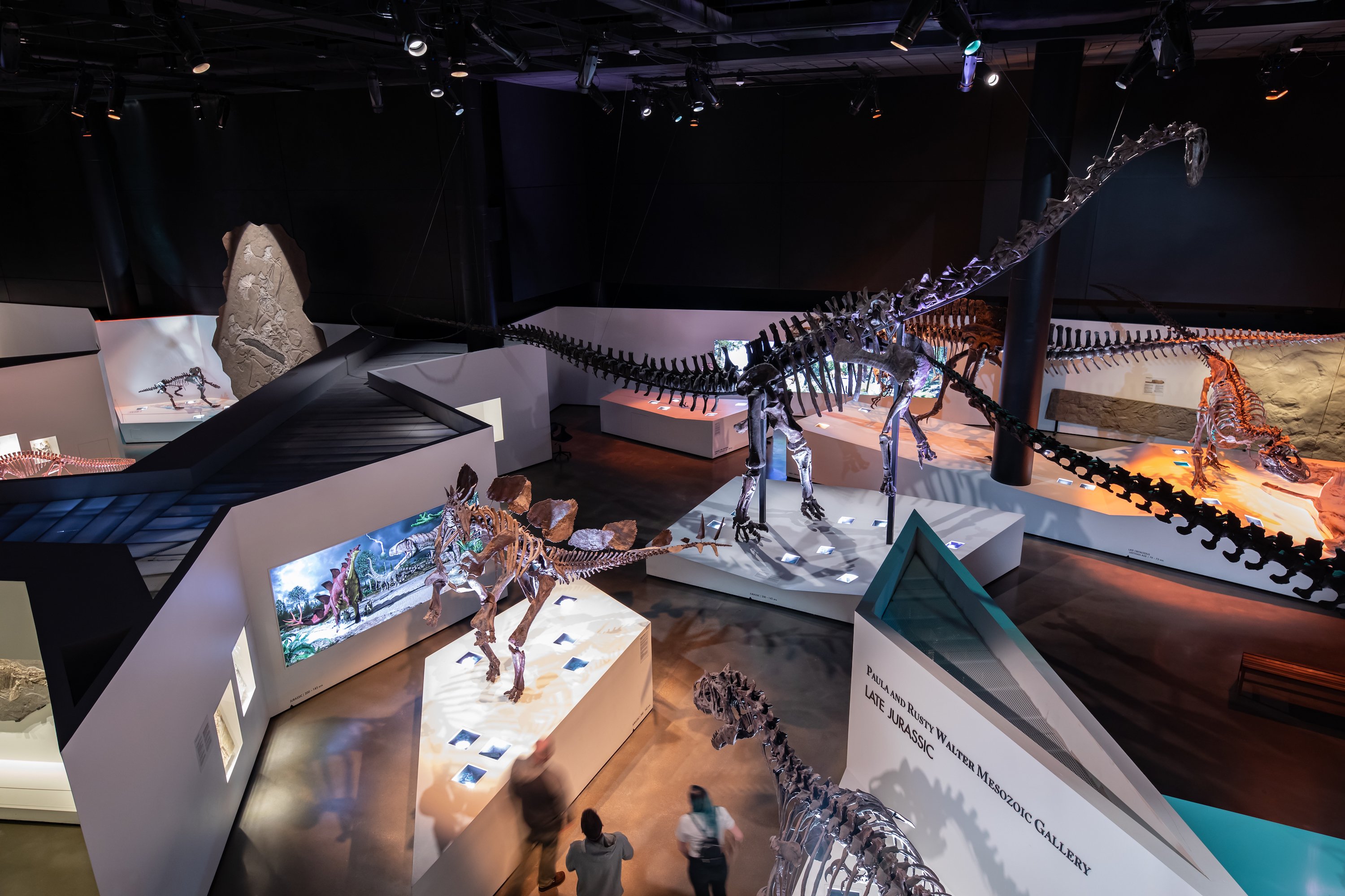 Houston: Museum of Natural Science General Admission Ticket - 2026 (Verified Reviews)