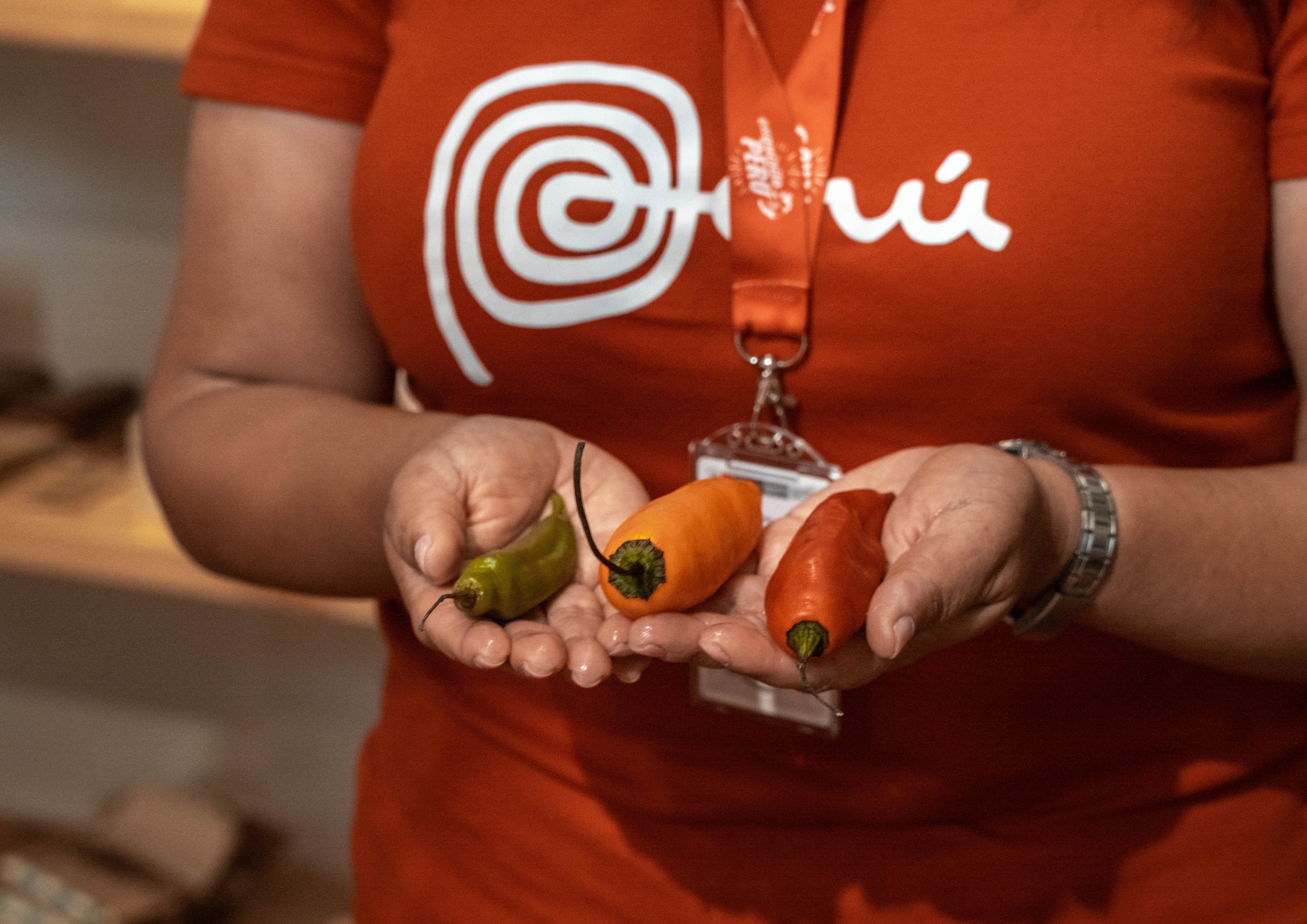 Experiencia culinaria a pie por Lima en Barranco