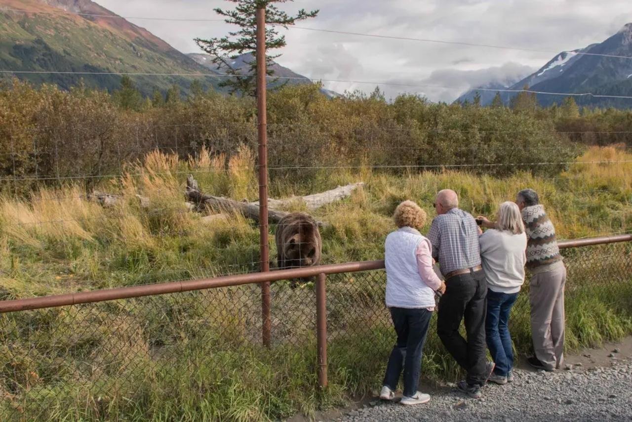 Alaska Wildlife Encounter & Scenic Turnagain Arm Tour
