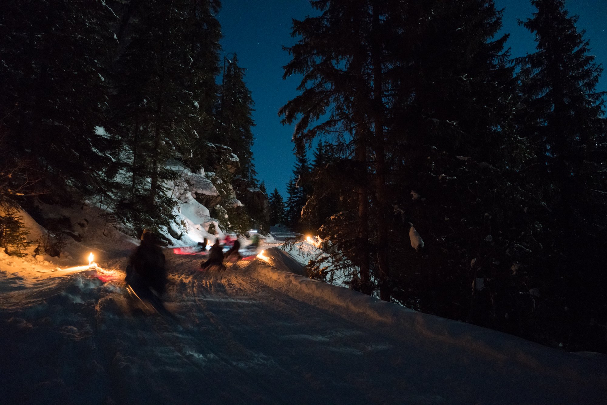 Interlaken Night Sledding Adventure