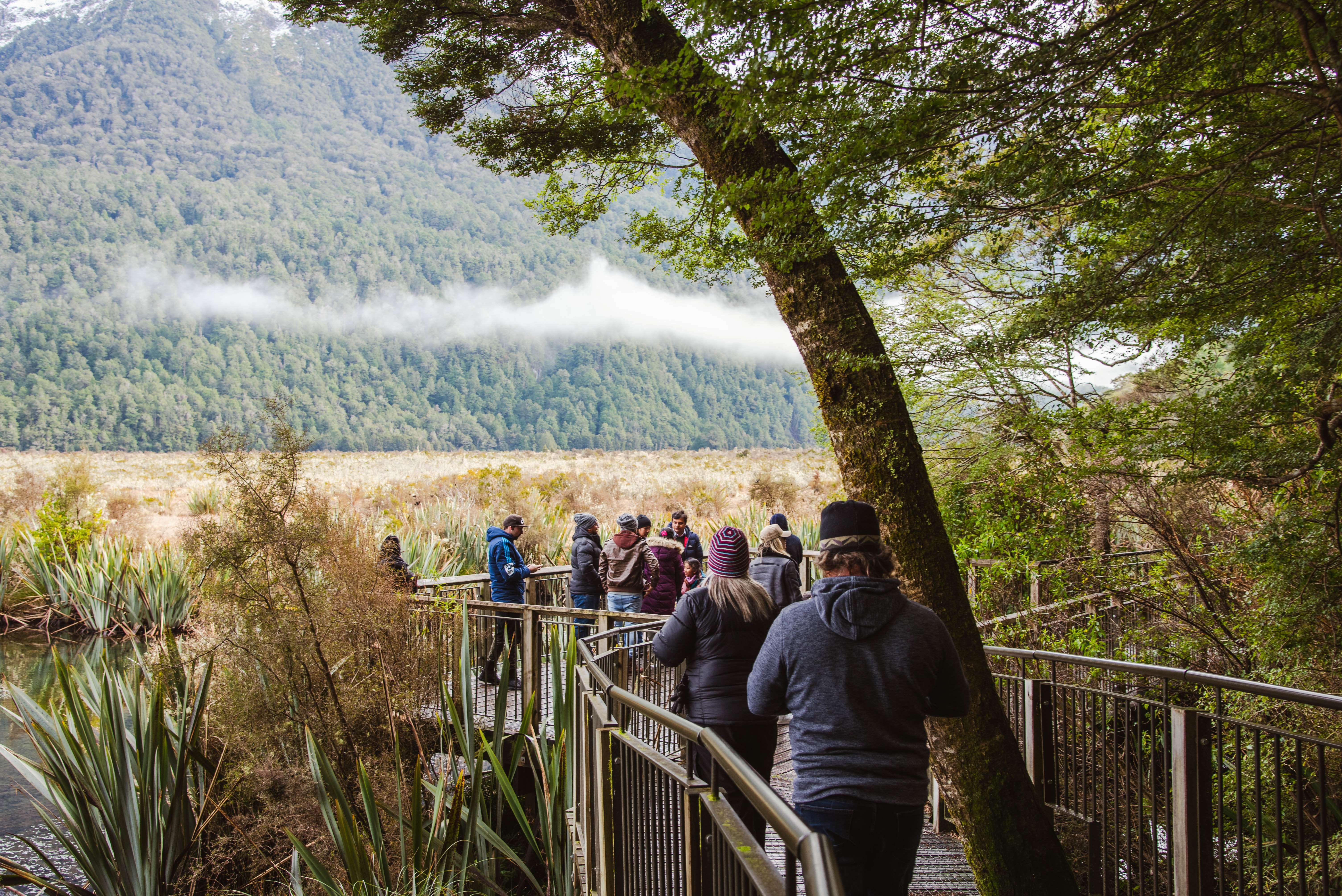 Milford Sound Premium Small-Group Day Tour from Queenstown