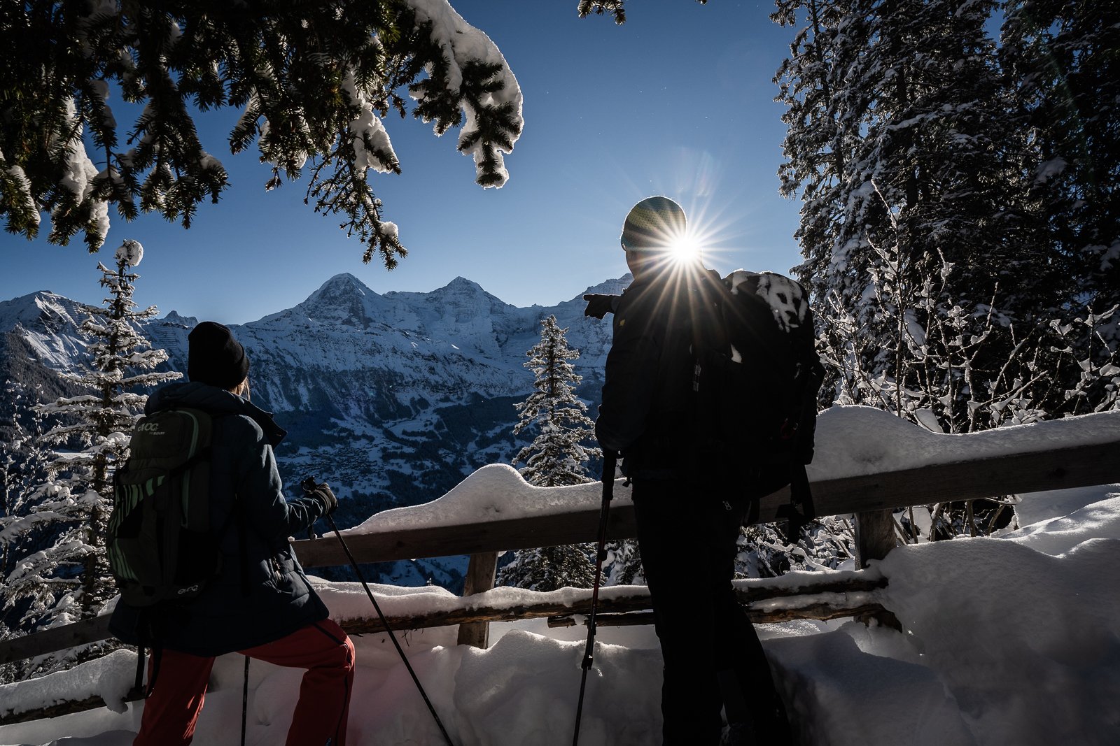 Interlaken Guided Alpine Snowshoeing Expedition