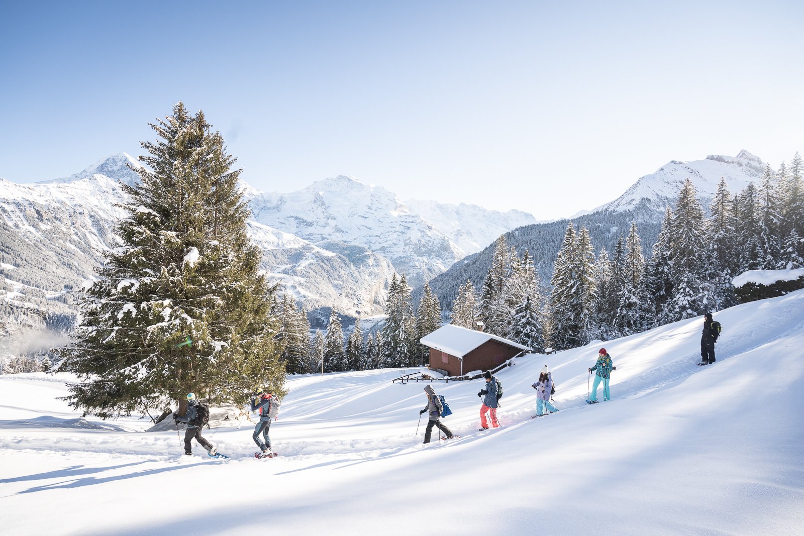 Interlaken Guided Alpine Snowshoeing Expedition