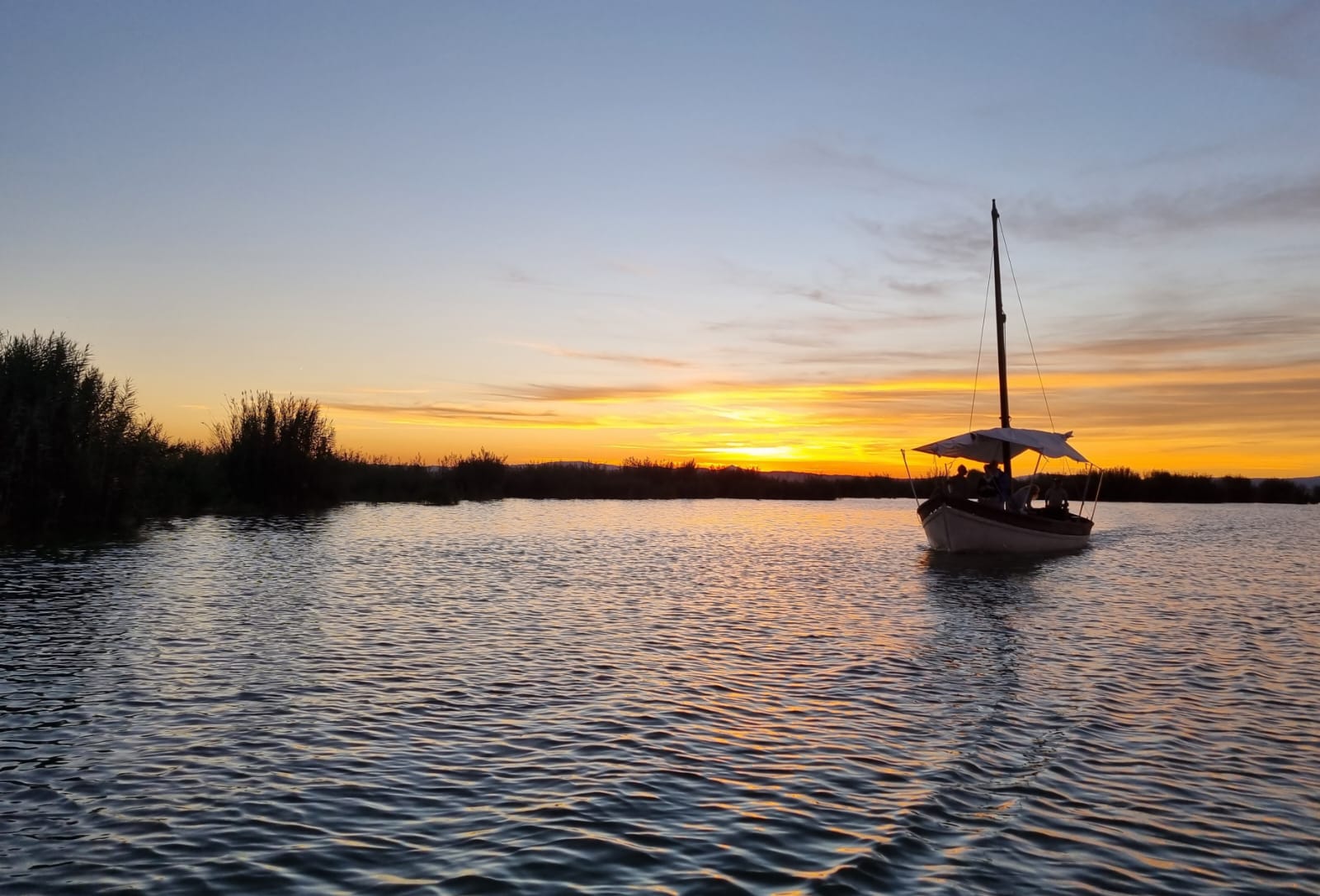 Albufera Natural Park Eco-Tour and Sunset Cruise from Valencia